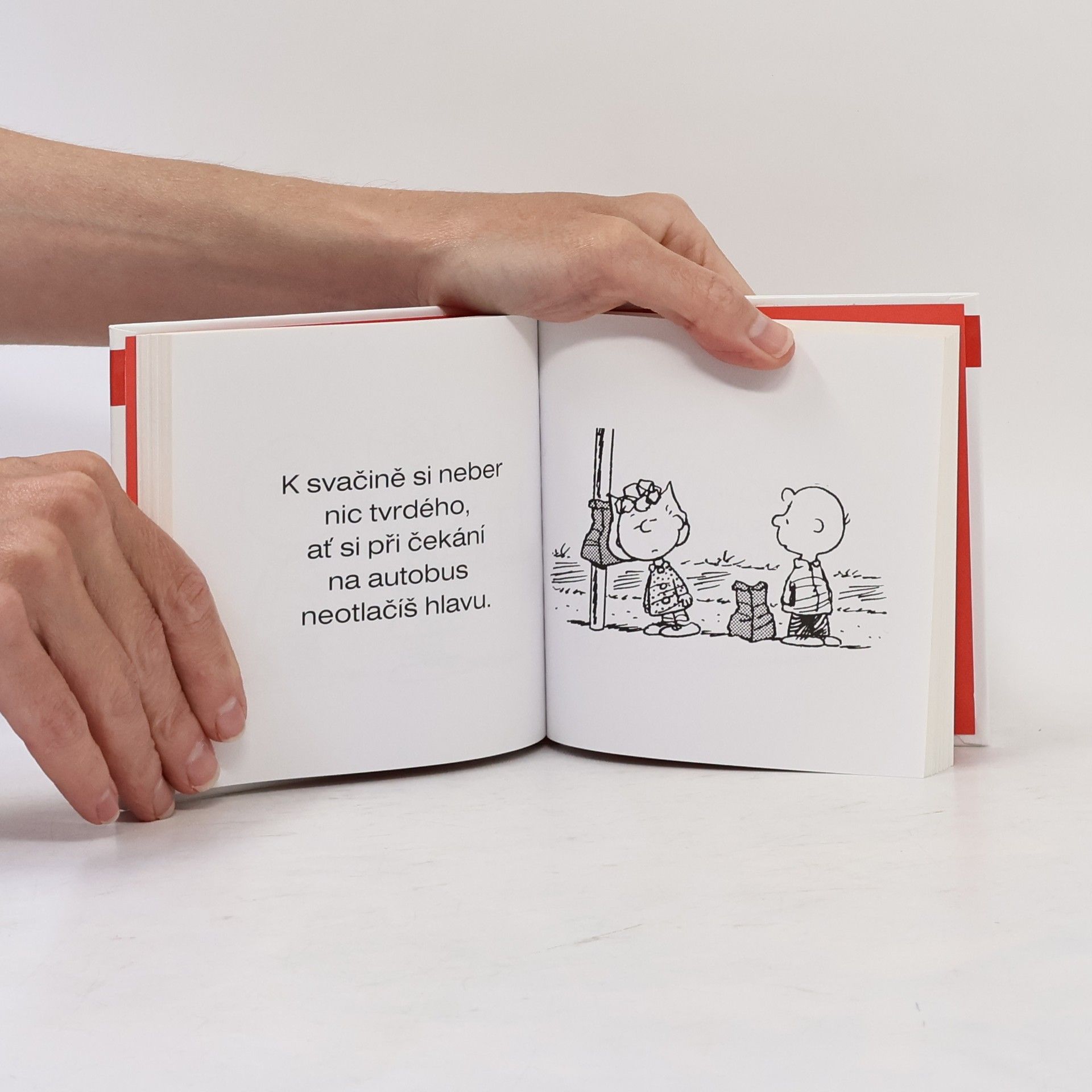 Charles M. Schulz Peanuts ve škole
