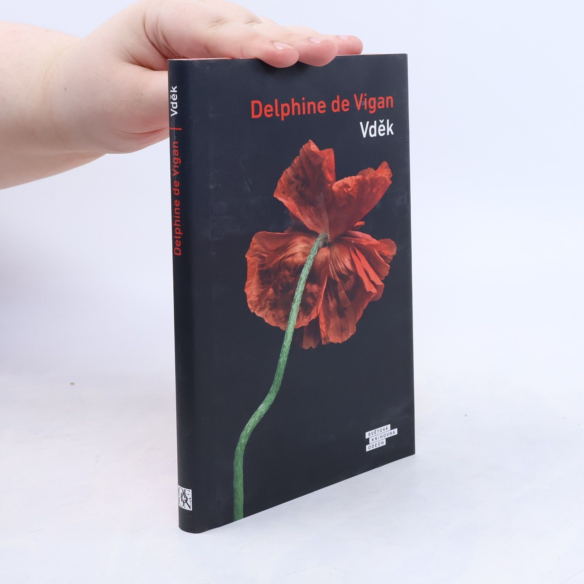 Delphine de Vigan Vděk