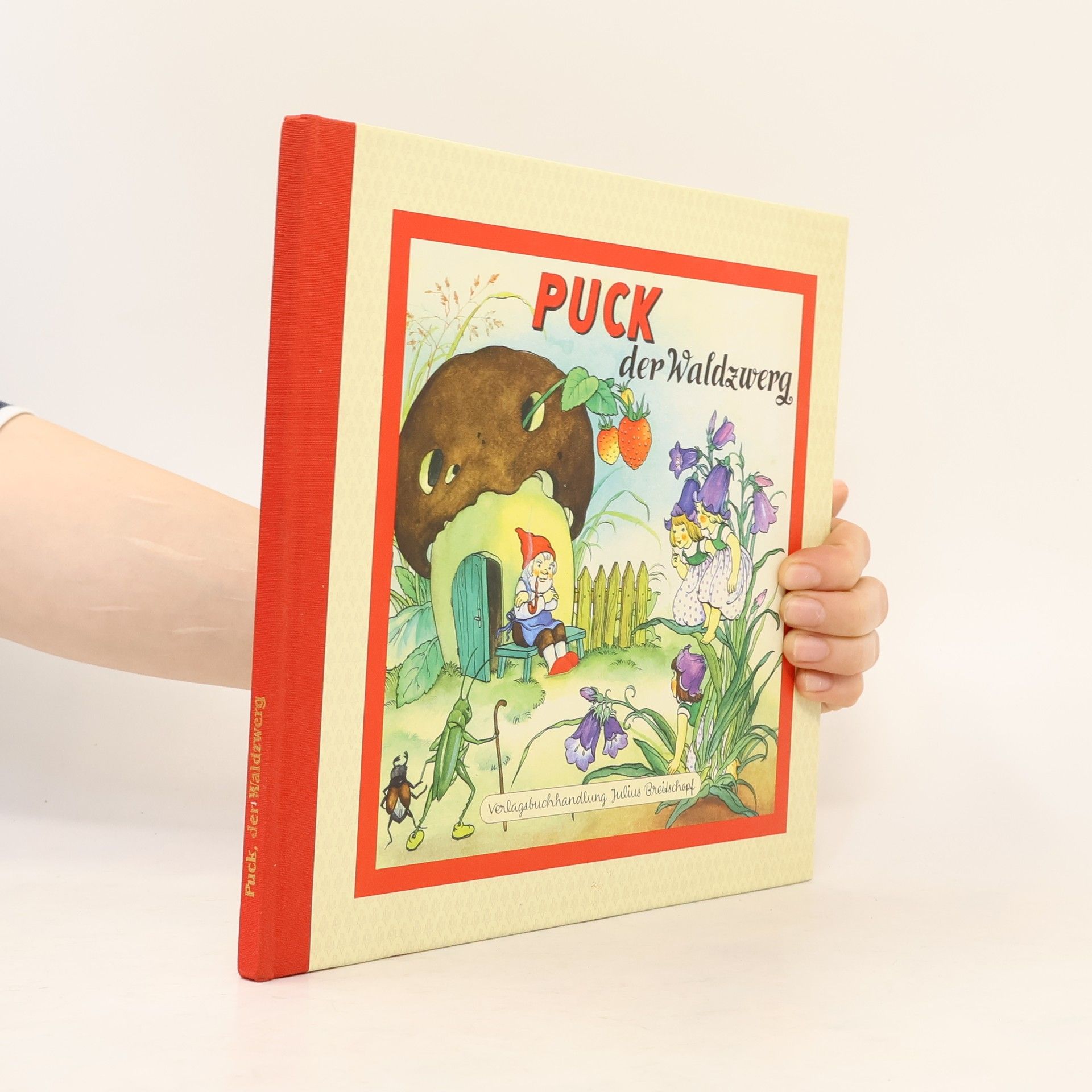 Autorenkollektiv Puck der Waldzwerg