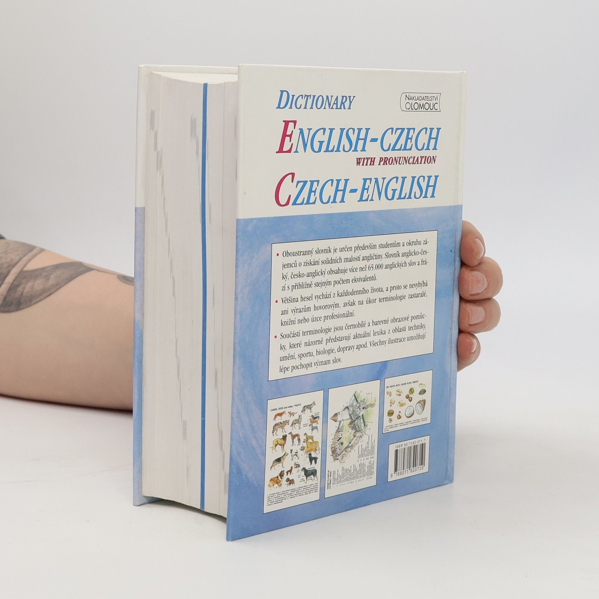Autorenkollektiv Slovník anglicko-český, česko-anglický s výslovností