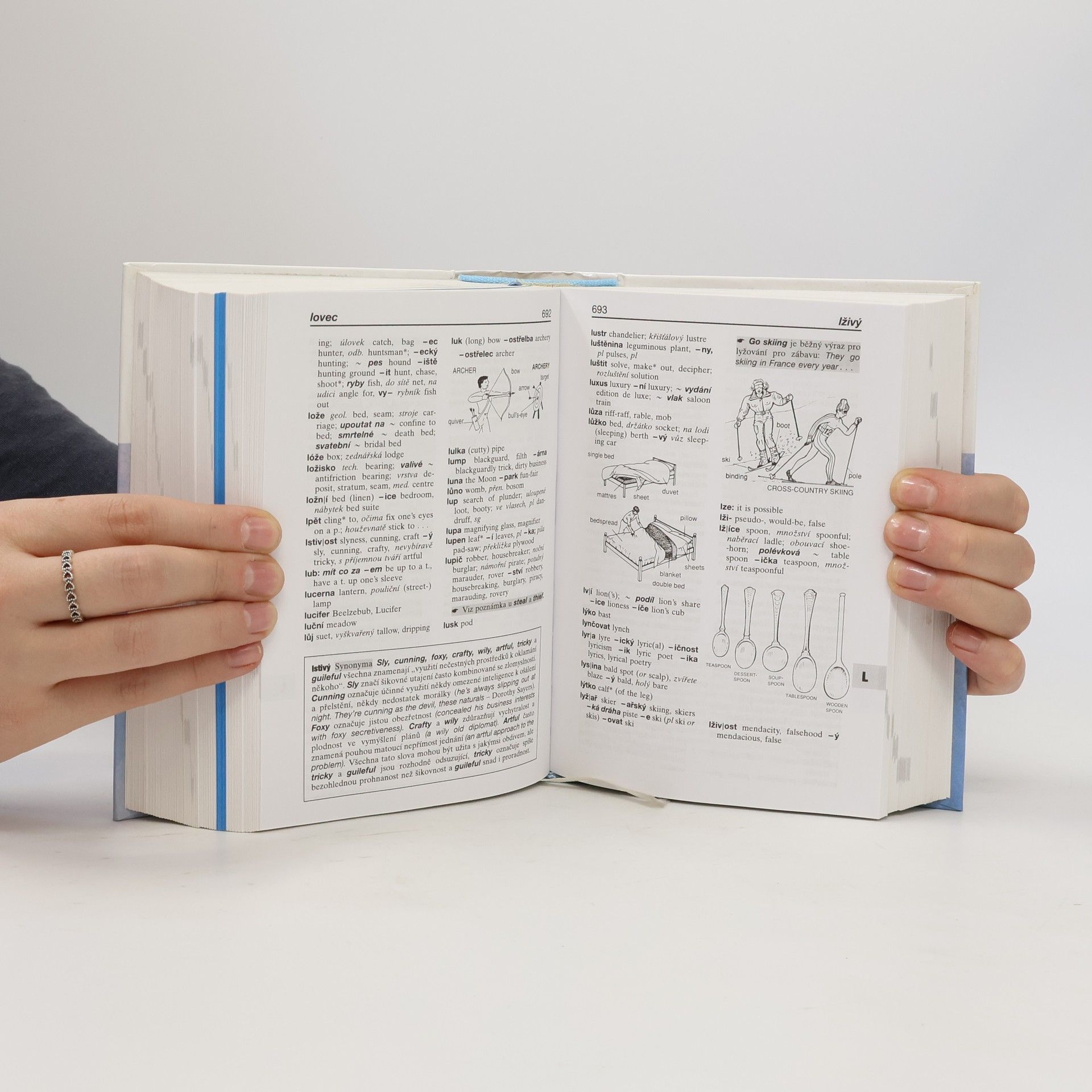 Autorenkollektiv Slovník anglicko-český, česko-anglický s výslovností