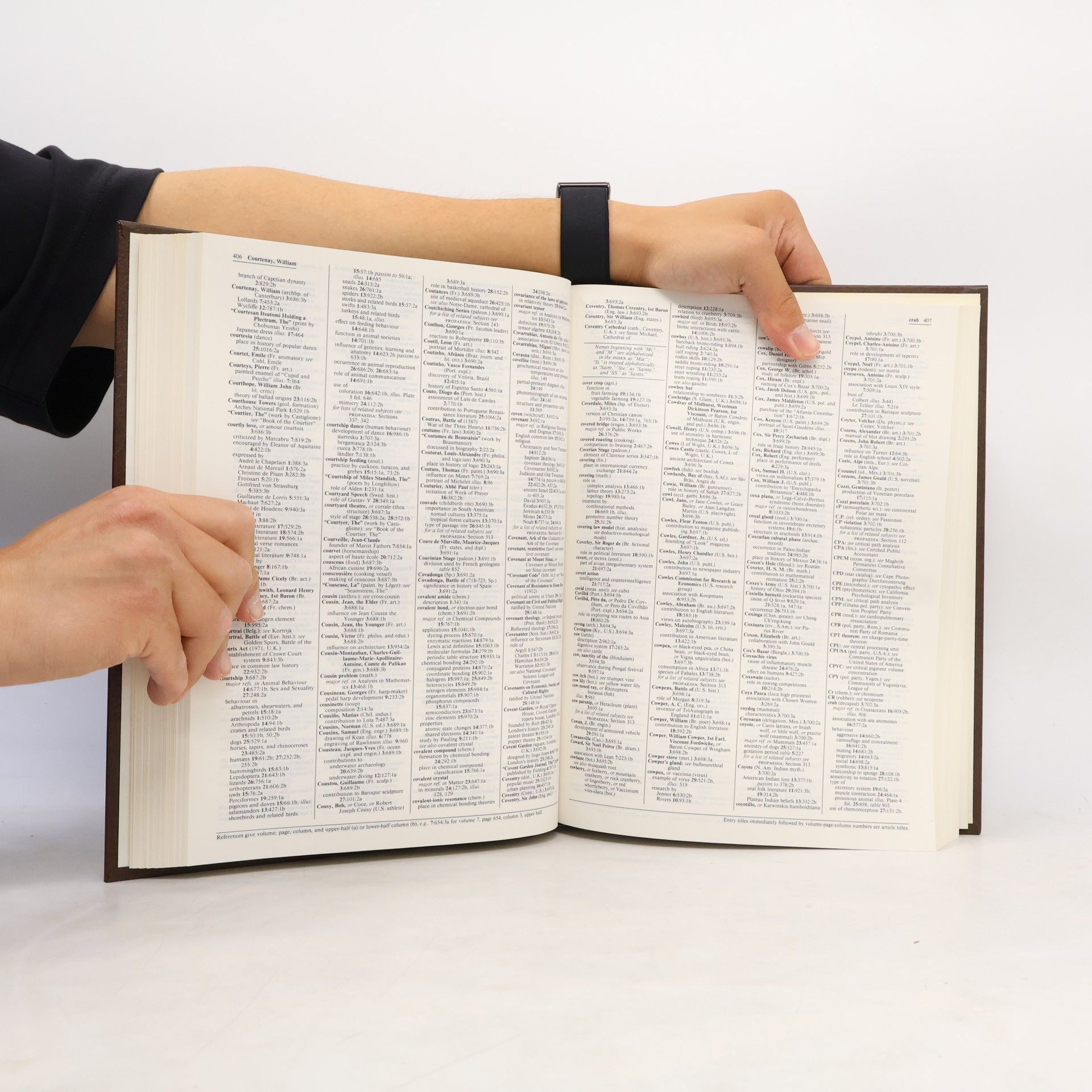 Kolektív autorov The New Encyclopædia Britannica. The Index A-K
