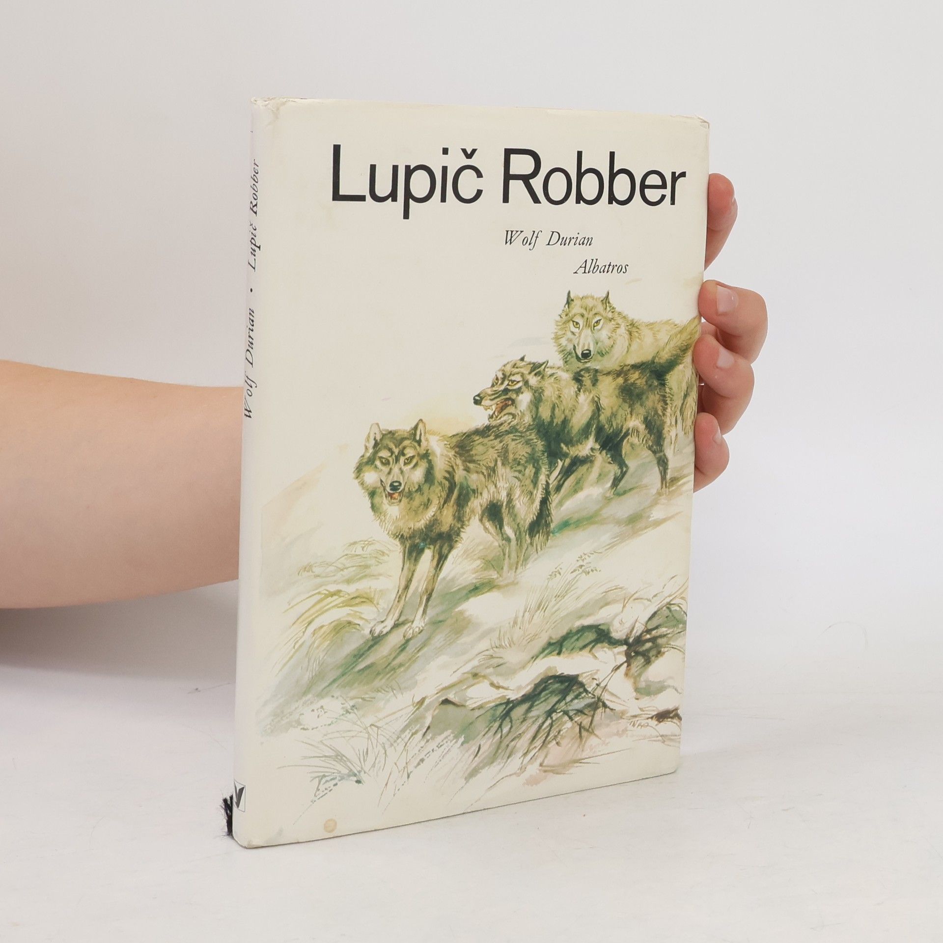 Lupič Robber