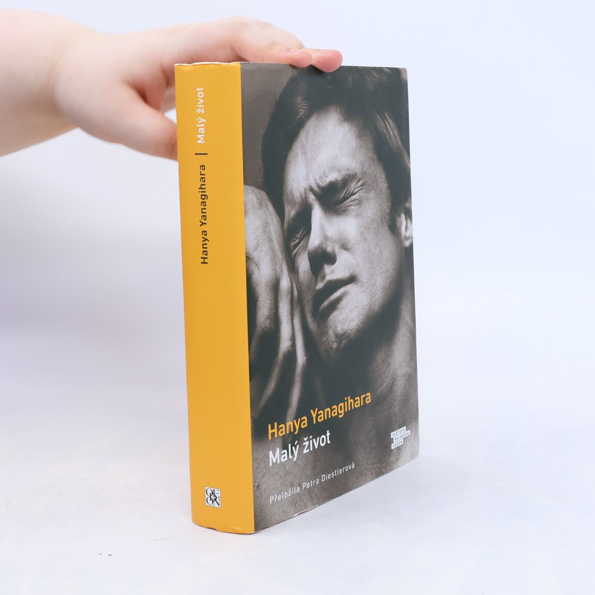 Hanya Yanagihara Malý život