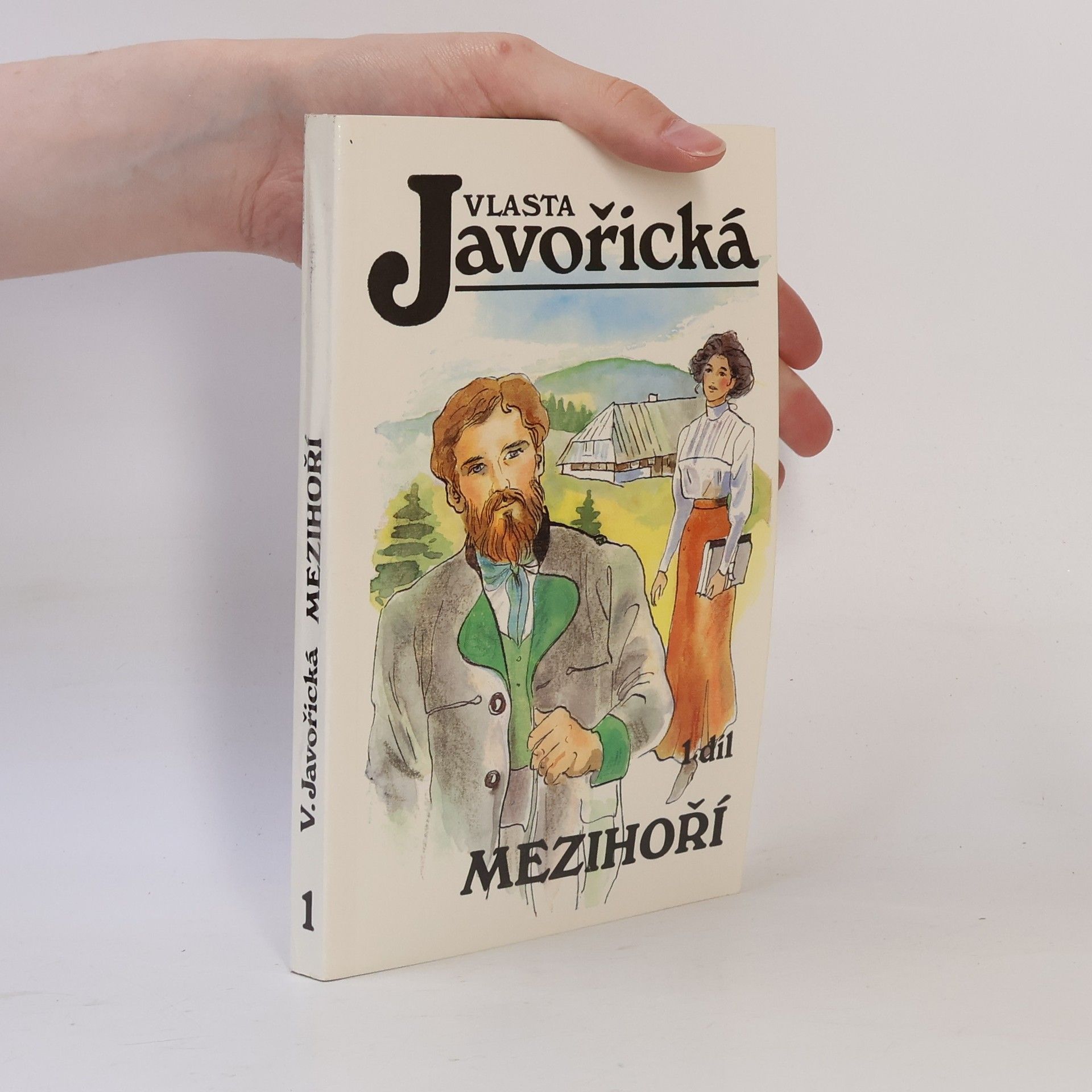 Mezihoří 1