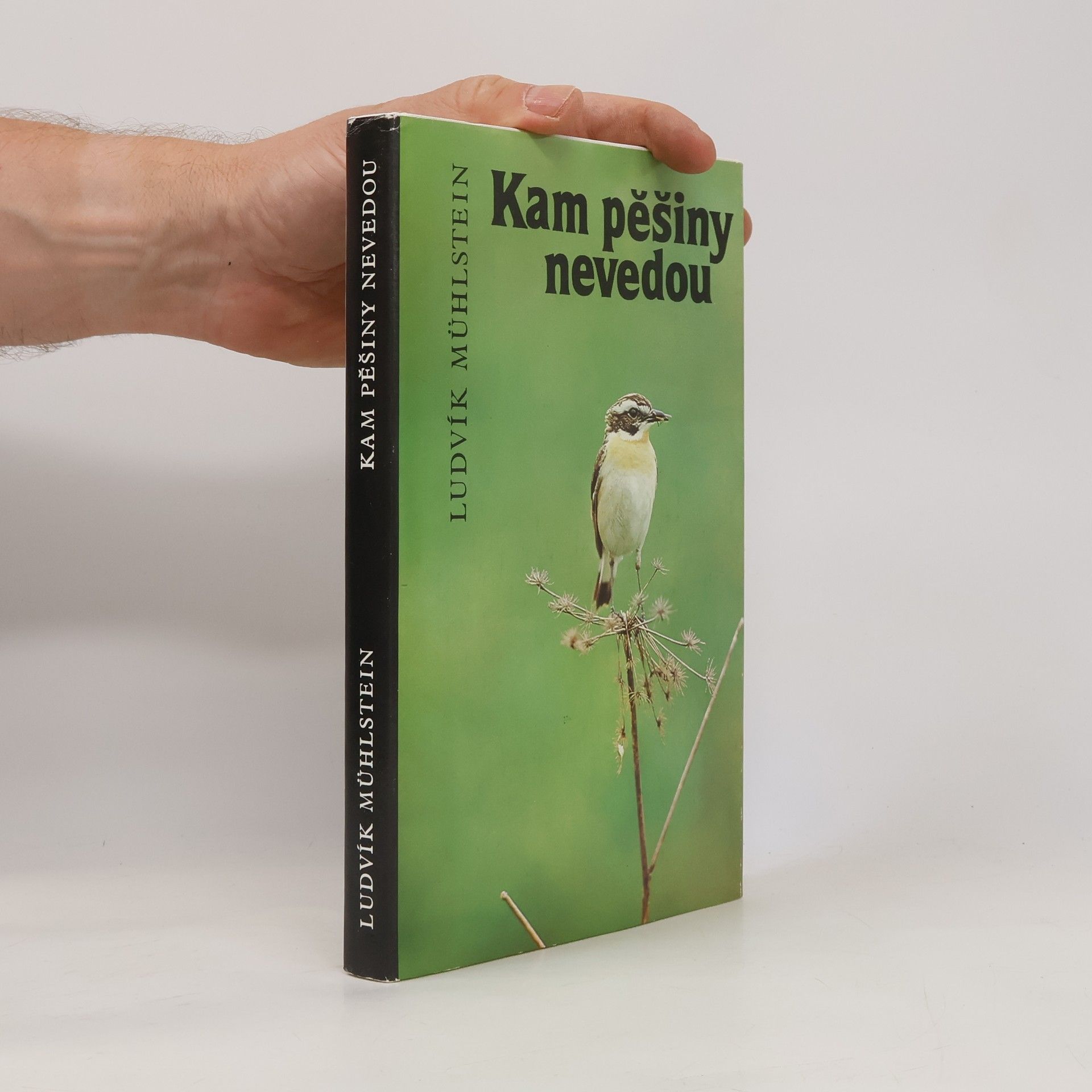 Ludvík Mühlstein Kam pěšiny nevedou