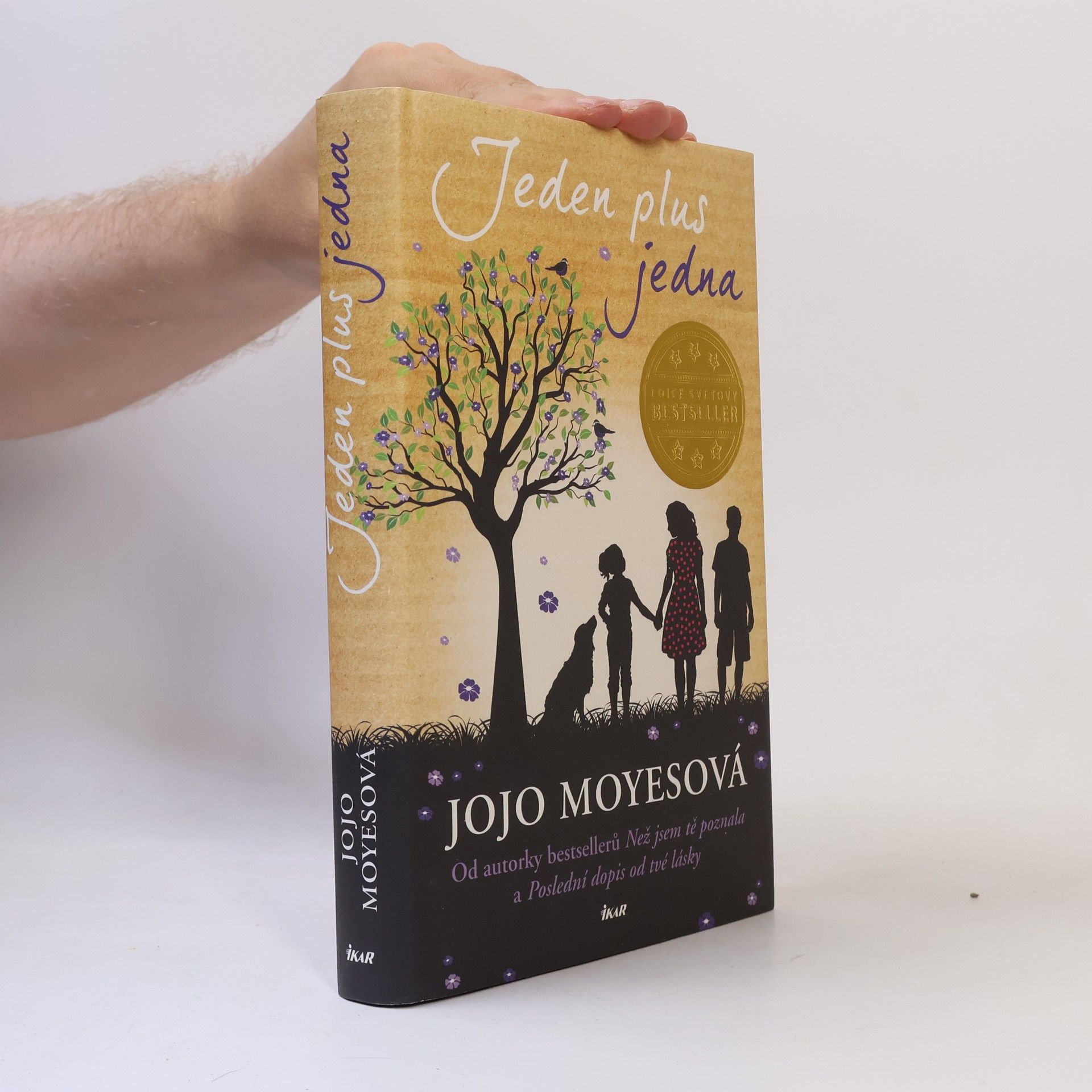 Jojo Moyes Jeden plus jedna