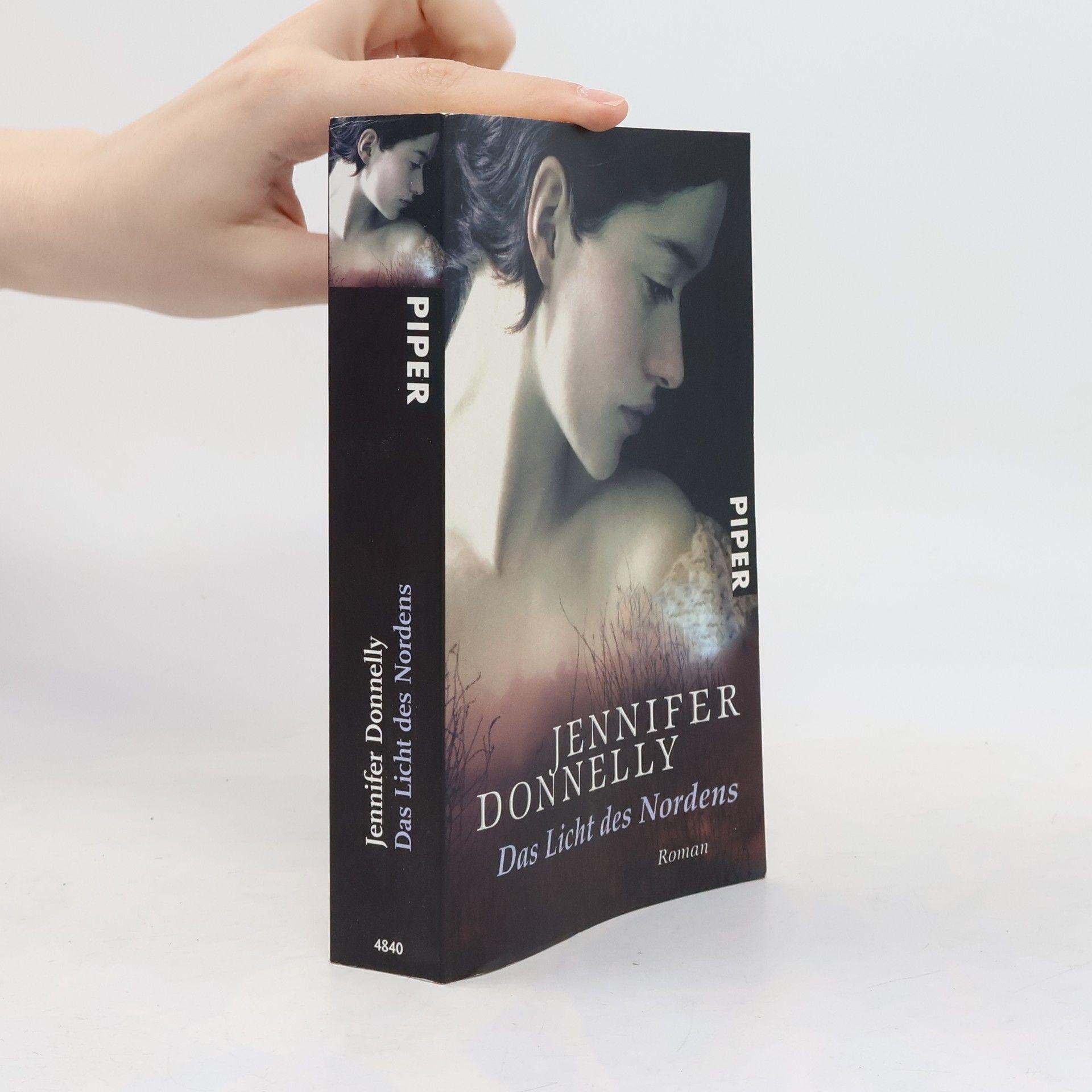 Jennifer Donnelly Das Licht des Nordens