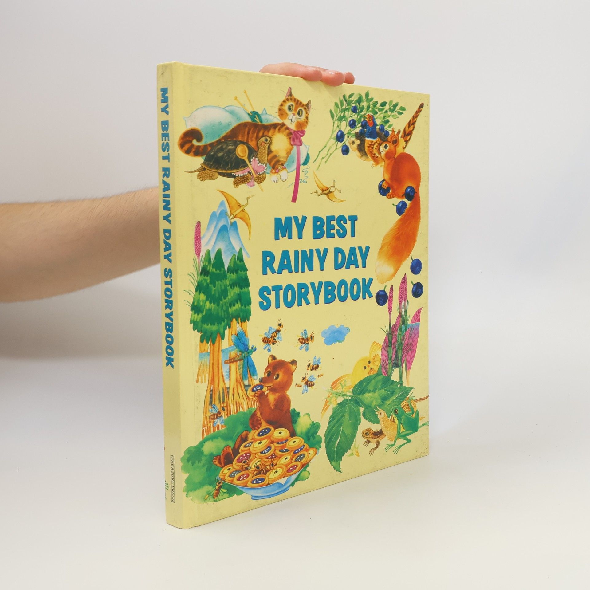 Drijverová Martina My Best Rainy Day Storybook
