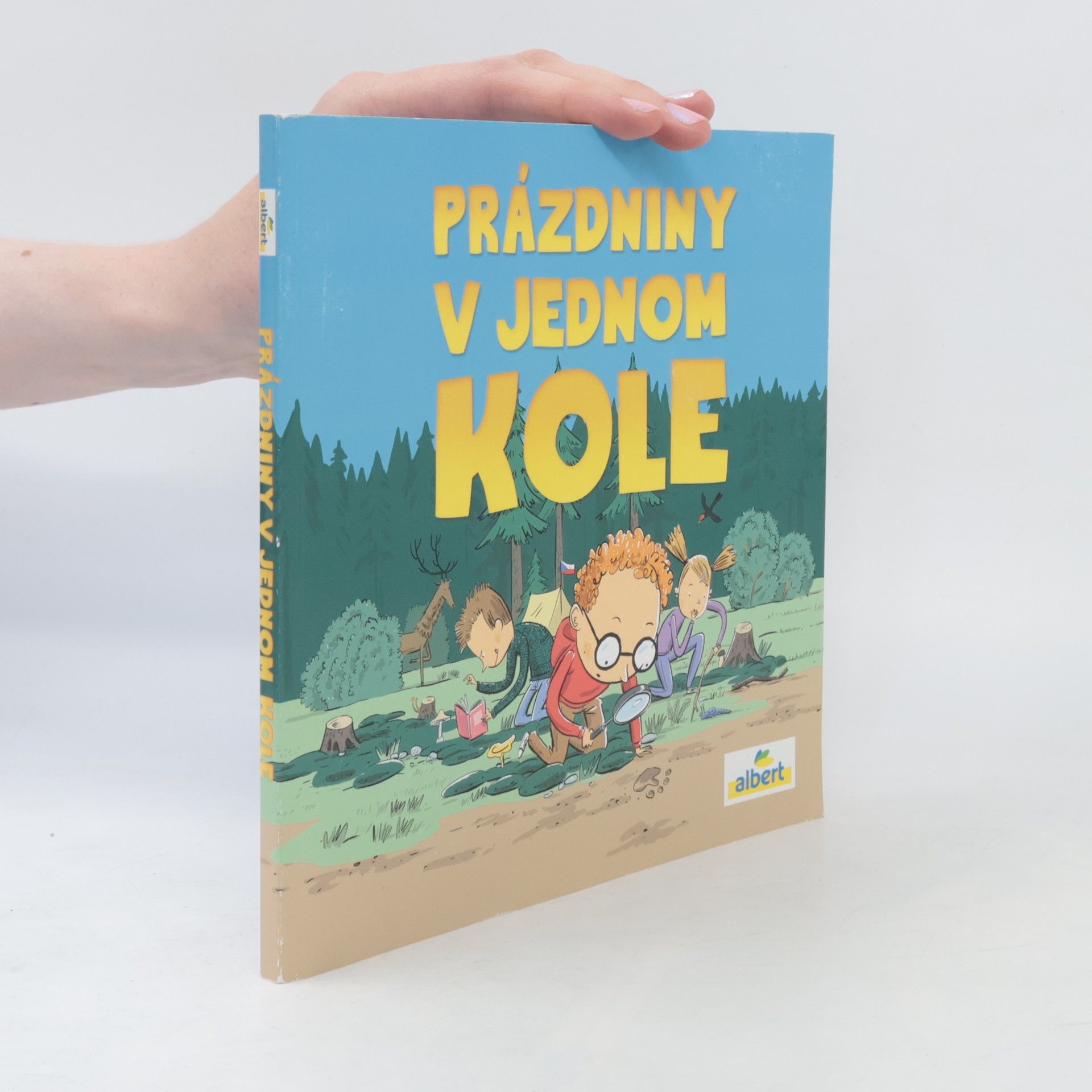Auteurscollectief Prázdniny v jednom kole