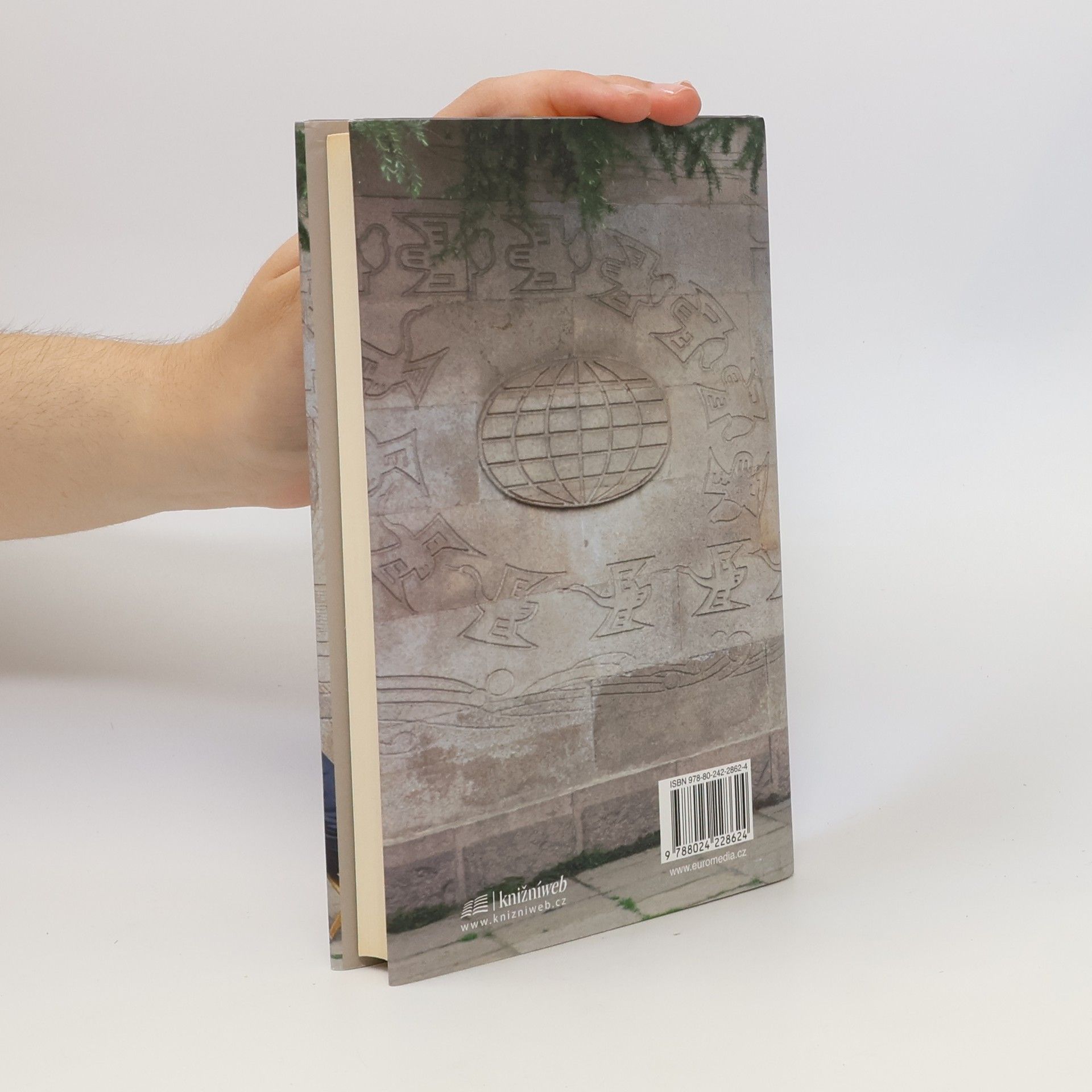 Yiyun Li Tisíc let vroucích modliteb