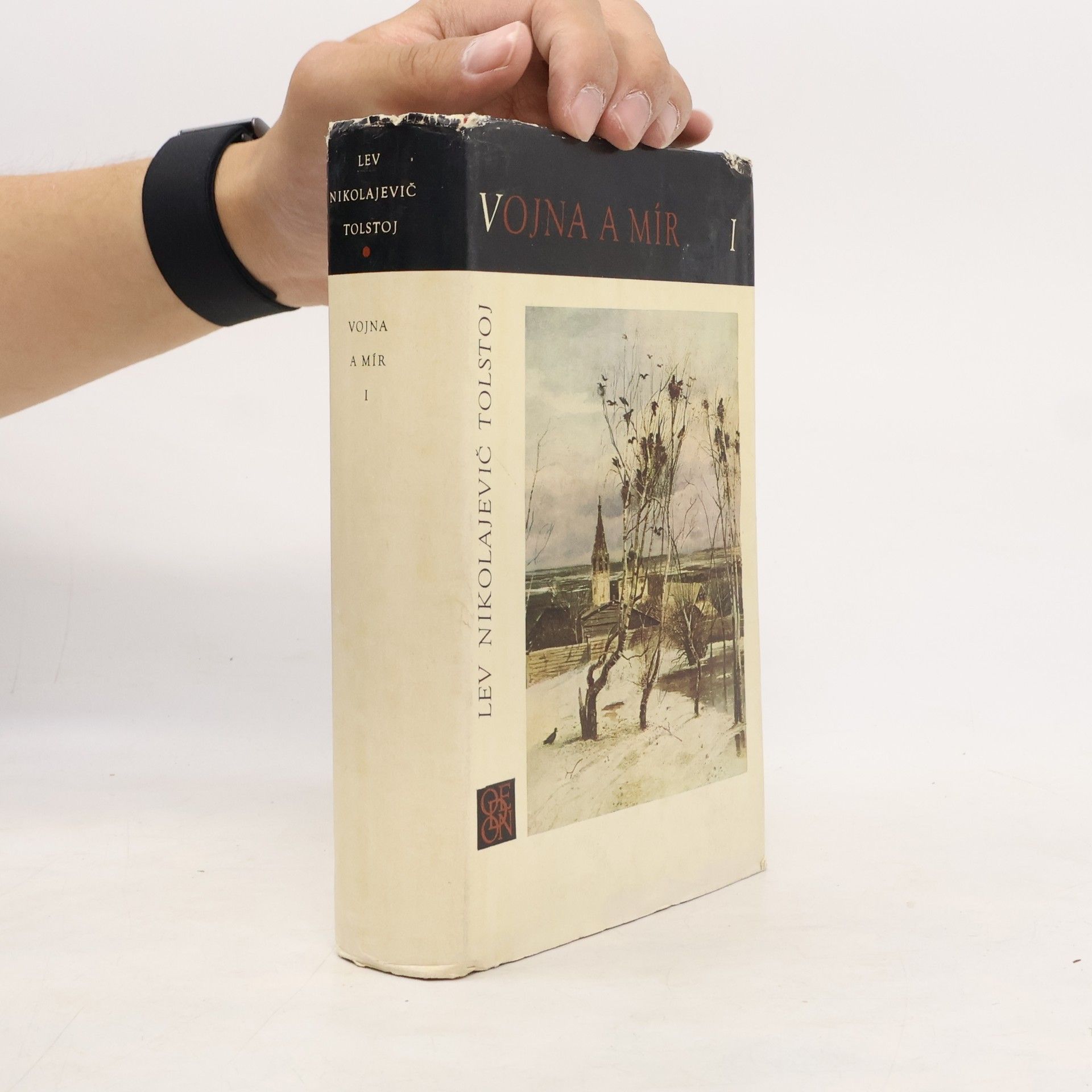 Leone Tolstoi Vojna a mír I