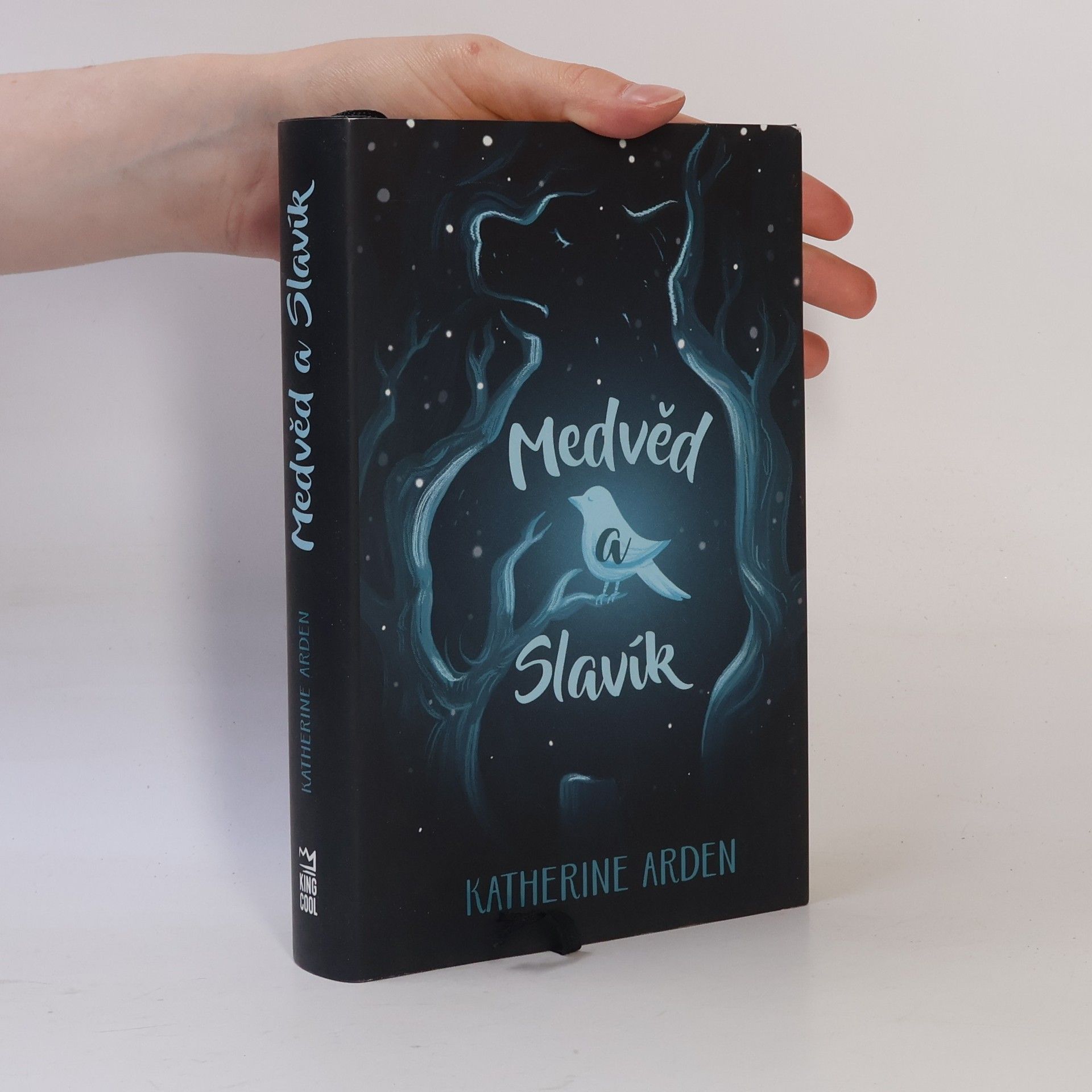 Katherine Arden Medvěd a Slavík