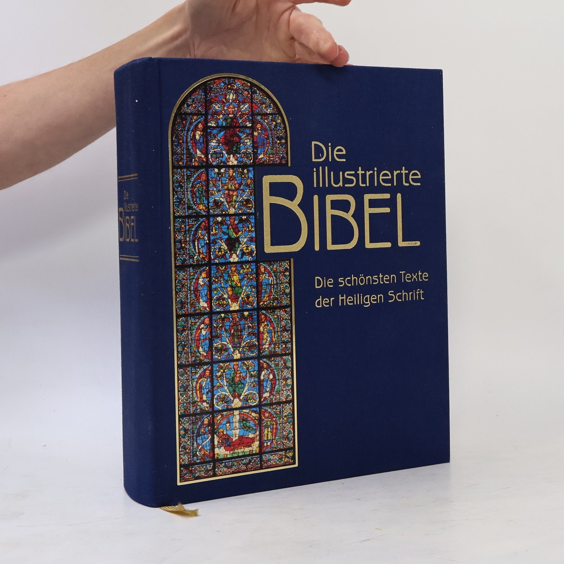 Autores varios Die illustrierte Bibel: Die schönsten Texte der Heiligen Schrift