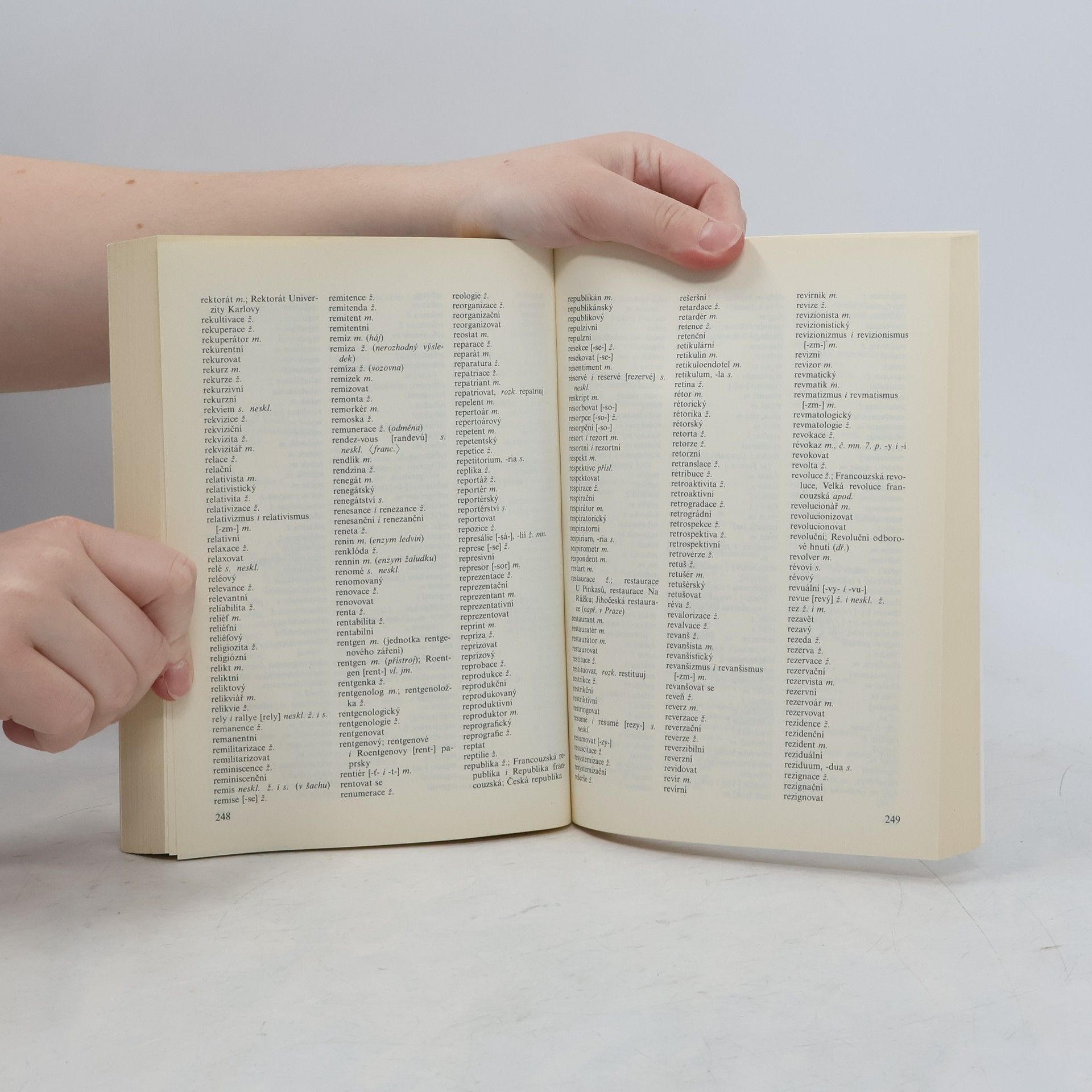 Various authors Pravidla českého pravopisu