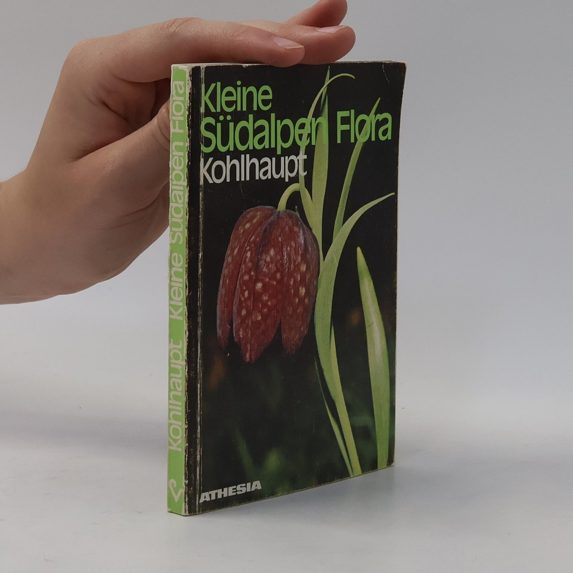 Autorenkollektiv Kleine Südalper Flora