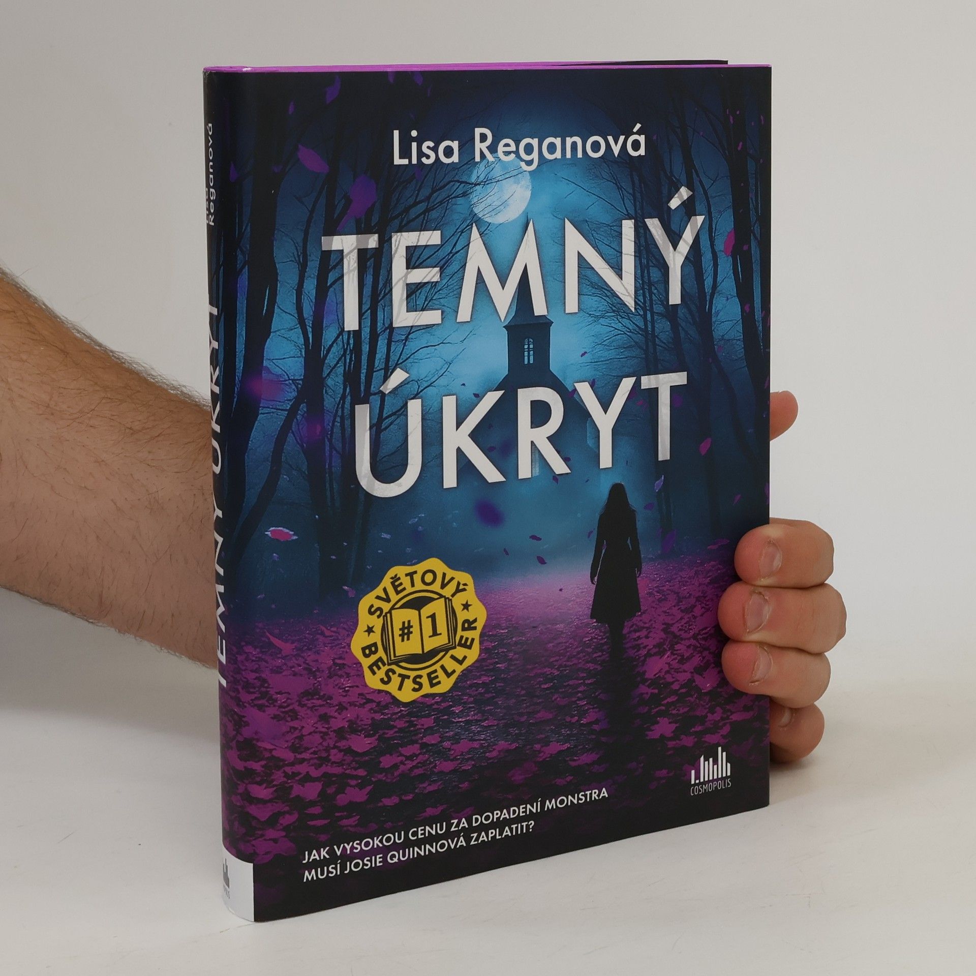 Lisa Regan Temný úkryt