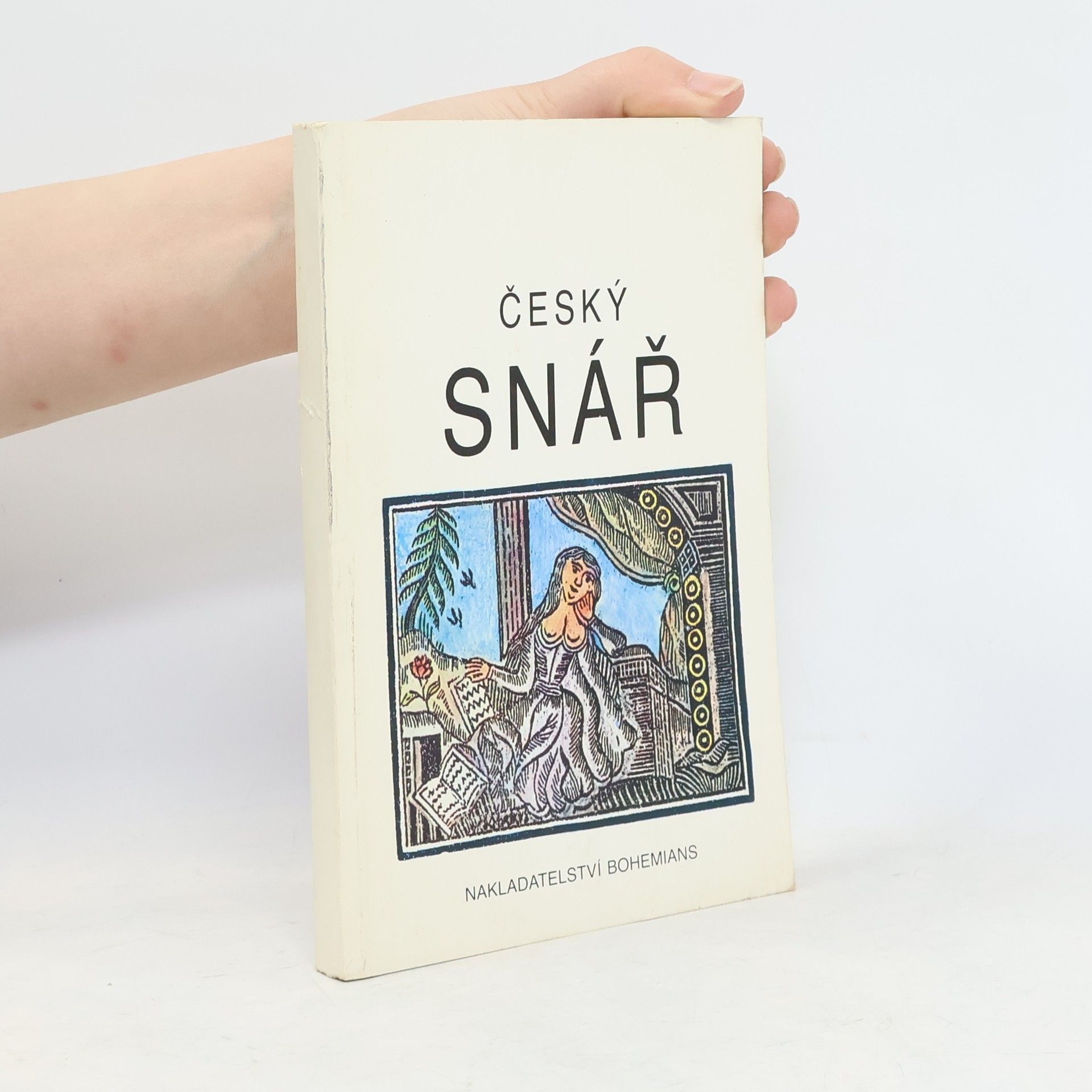 Český snář