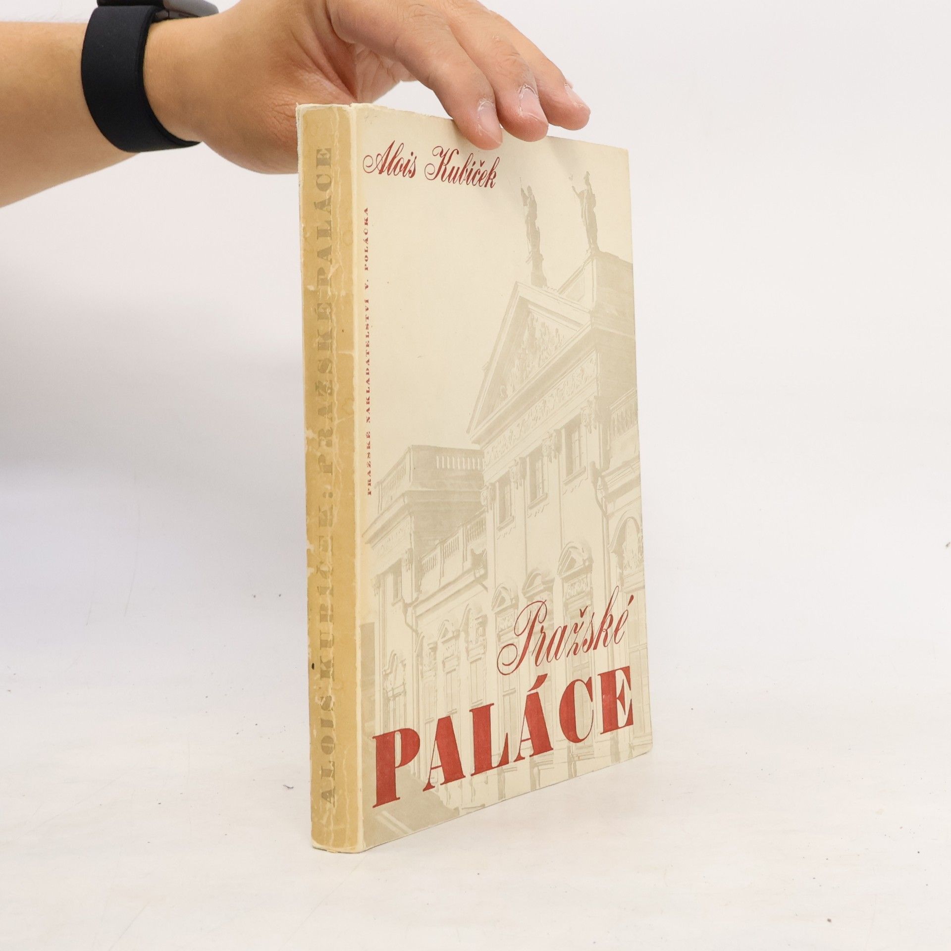 Alois Kubiček Pražské paláce