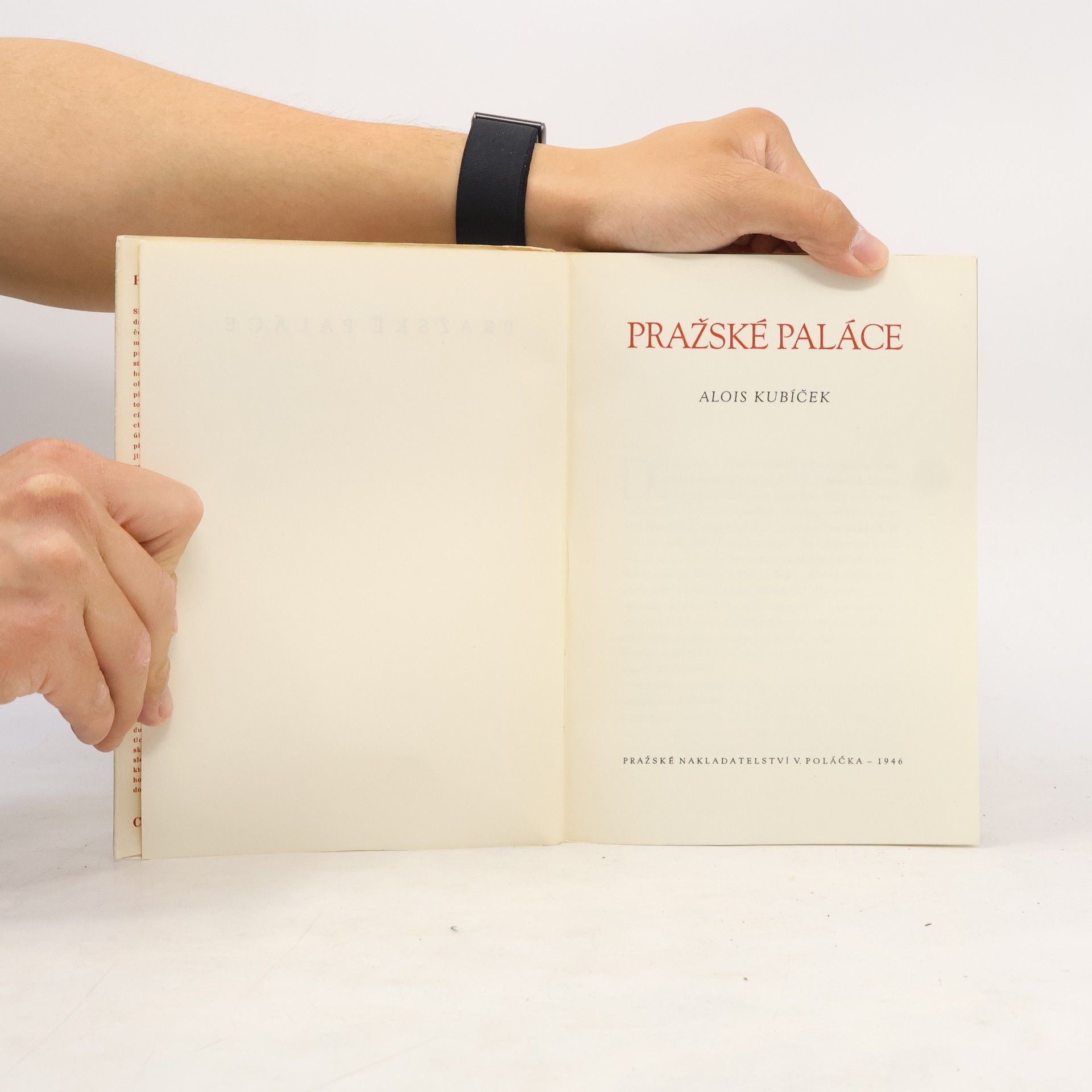 Alois Kubiček Pražské paláce