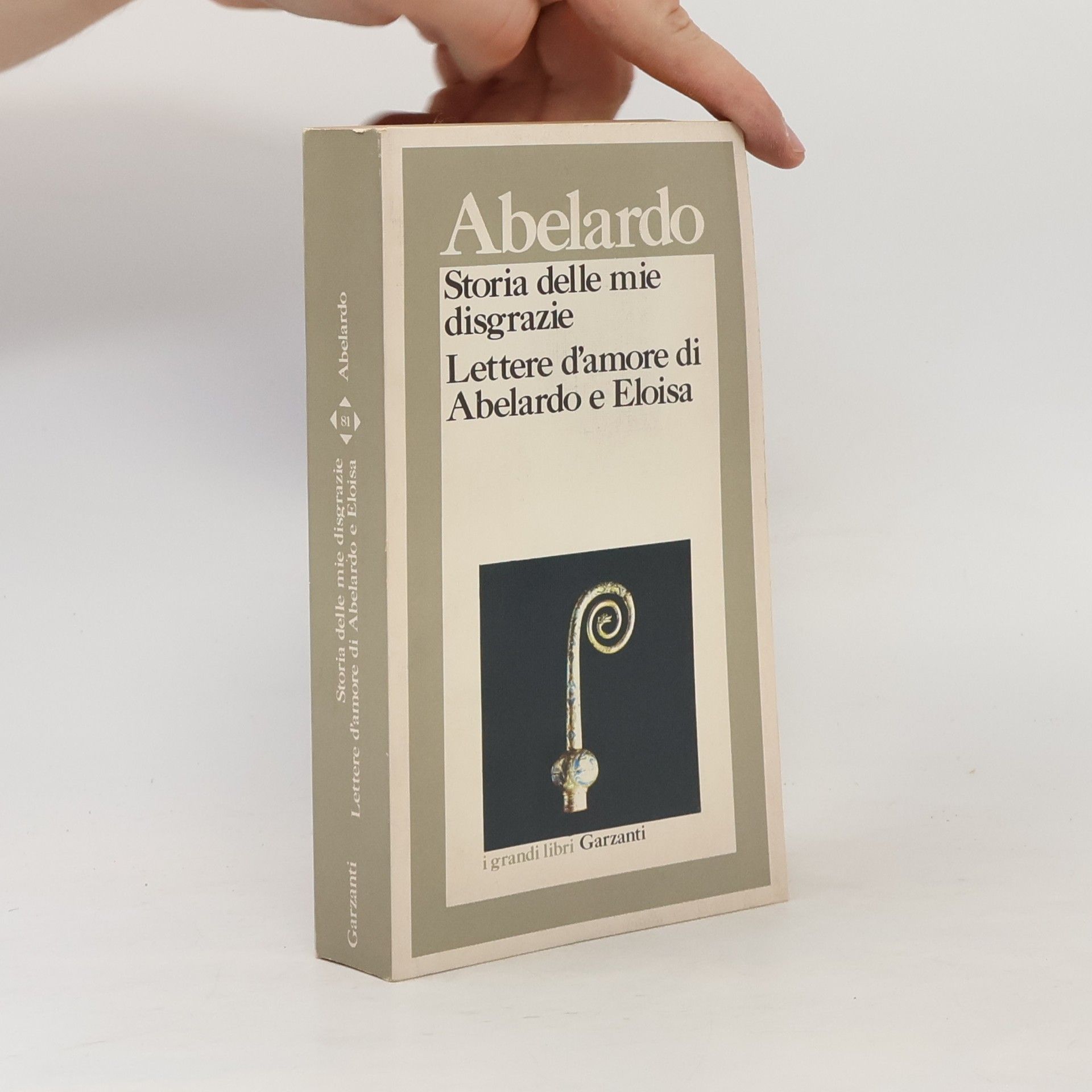 Storia delle mie disgrazie. Lettere d'amore di Abelardo e Eloisa