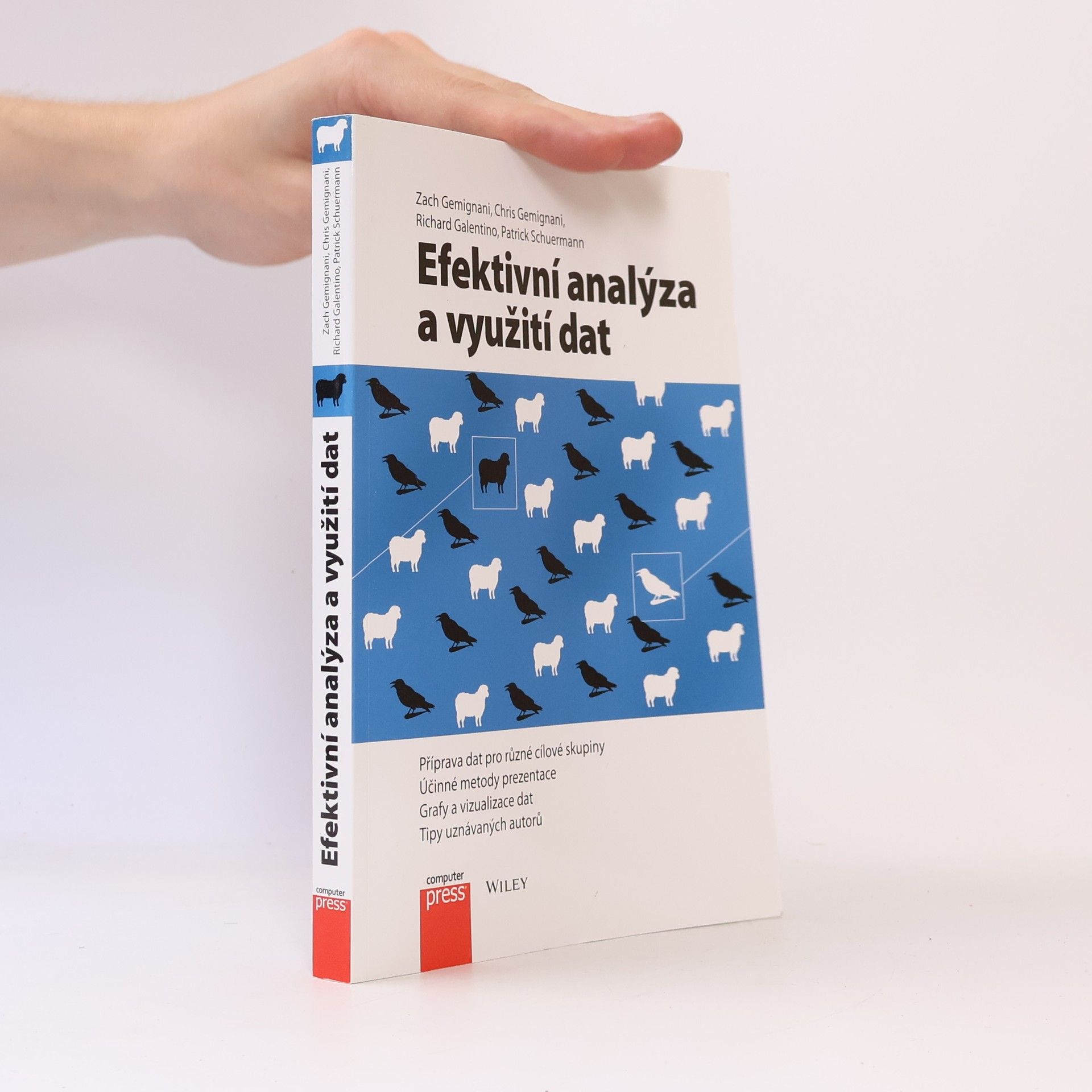 Patrick Schuermann Efektivní analýza a využití dat