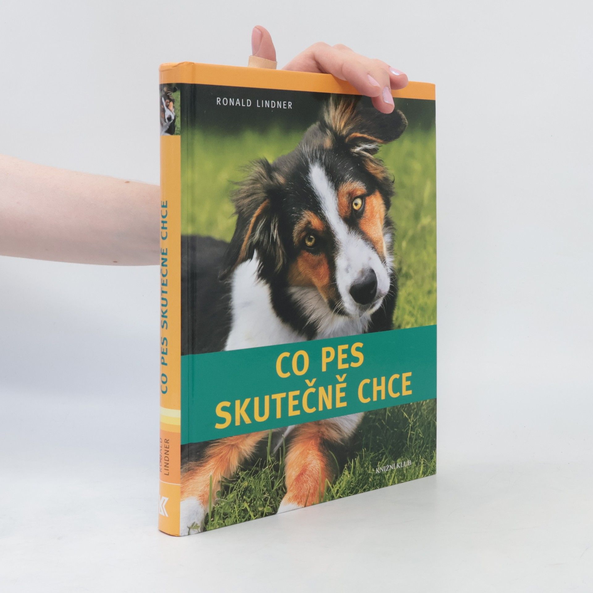 Ronald Lindner Co pes skutečně chce