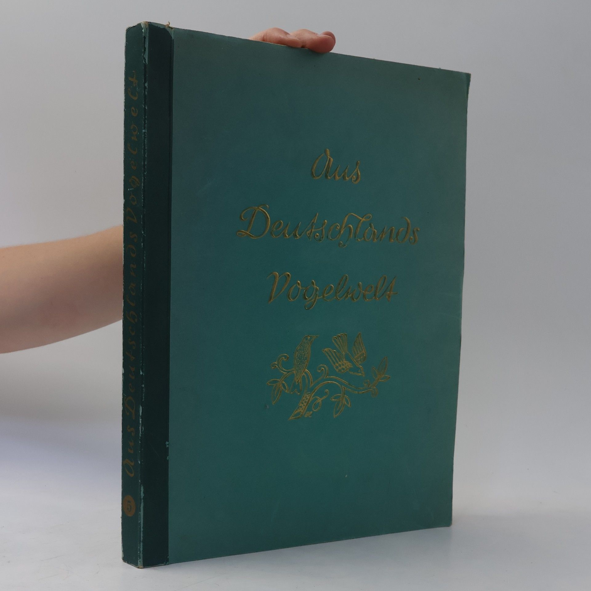 Autorenkollektiv Aus Deutschlands Vogelwelt