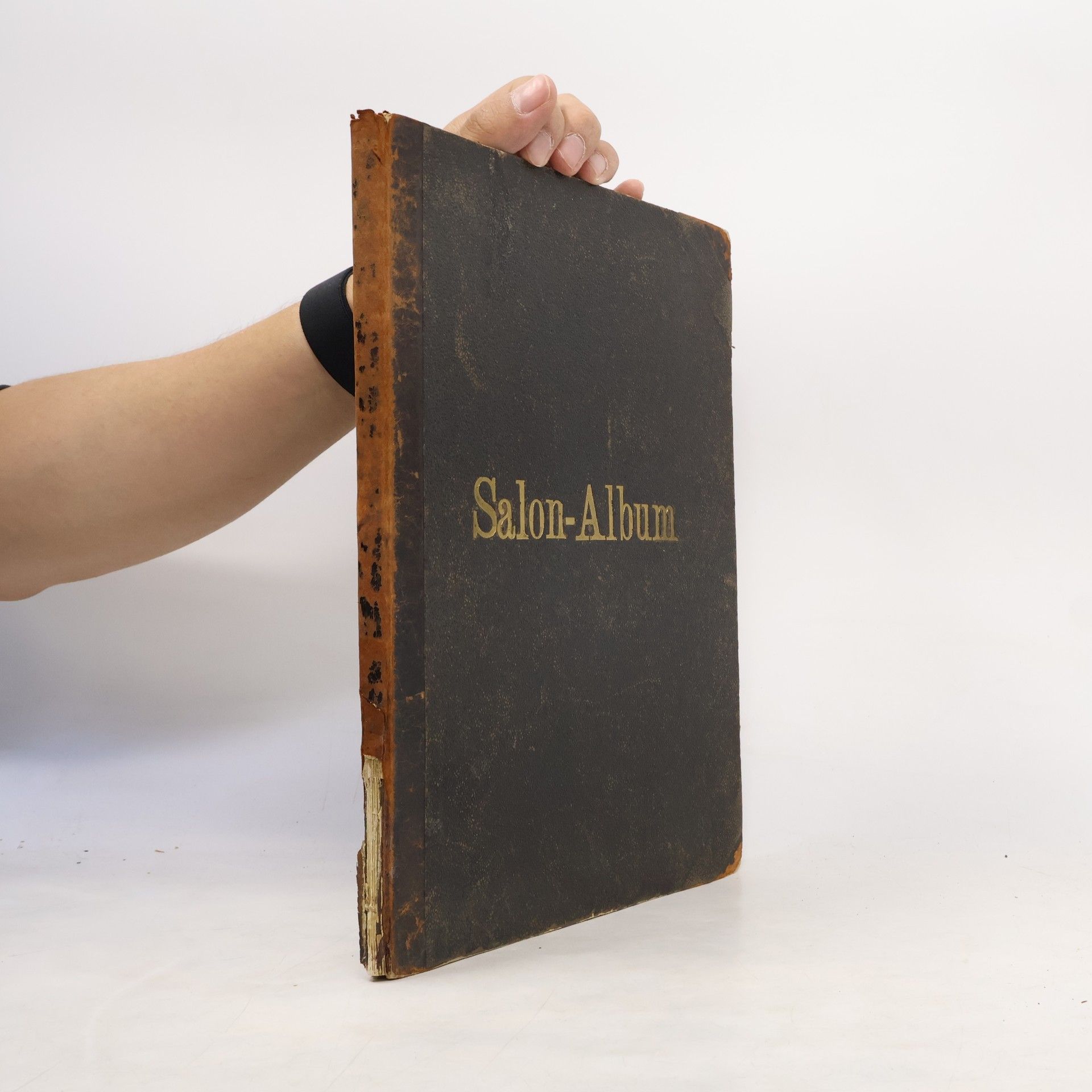 Autores varios Salon-Album