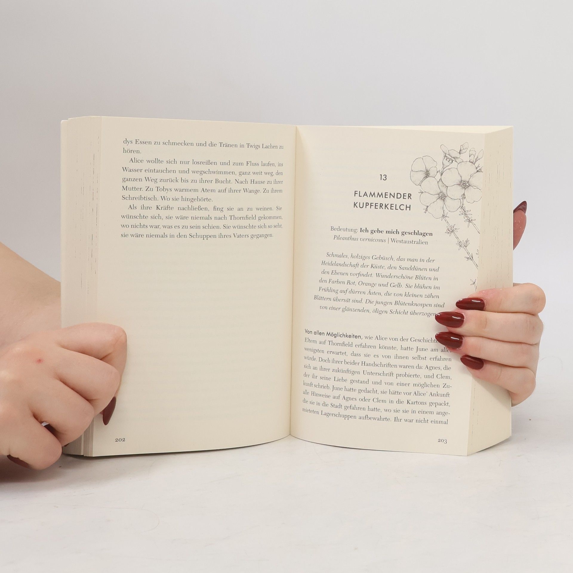 Holly Ringland Die verlorenen Blumen der Alice Hart