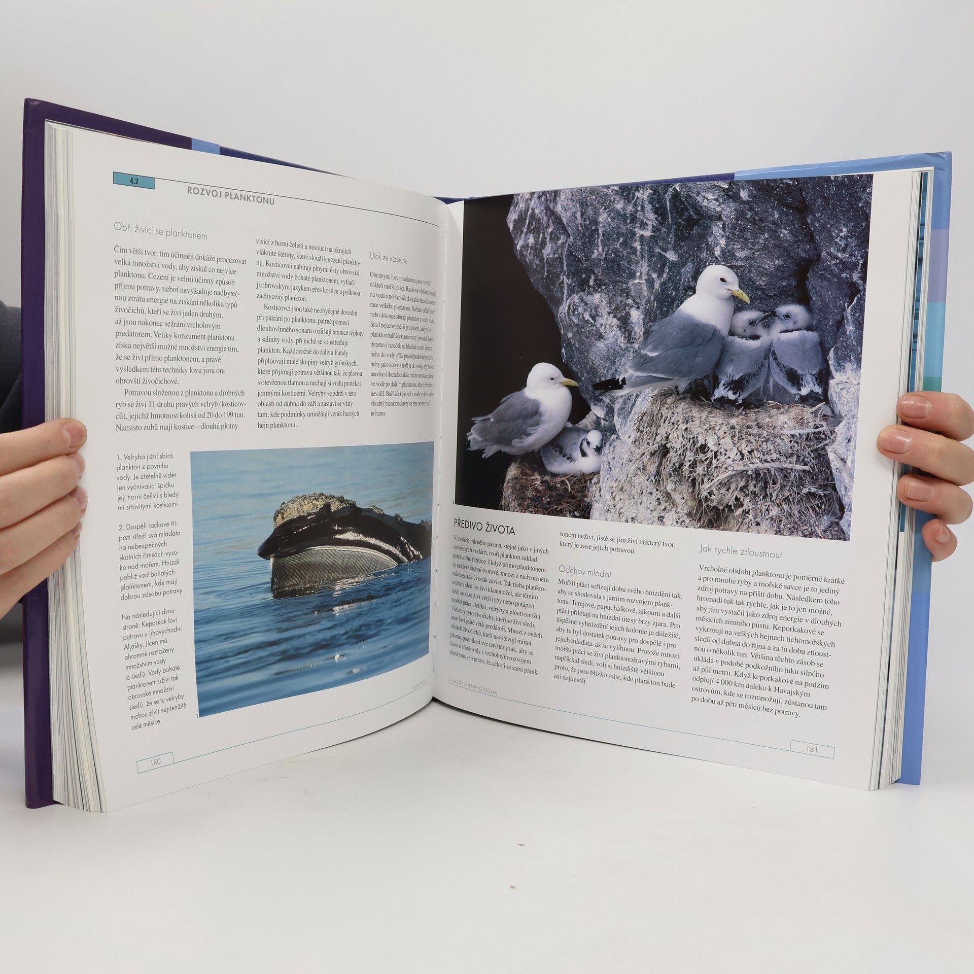 Andrew Byatt Modrá planeta : přírodopis oceánů