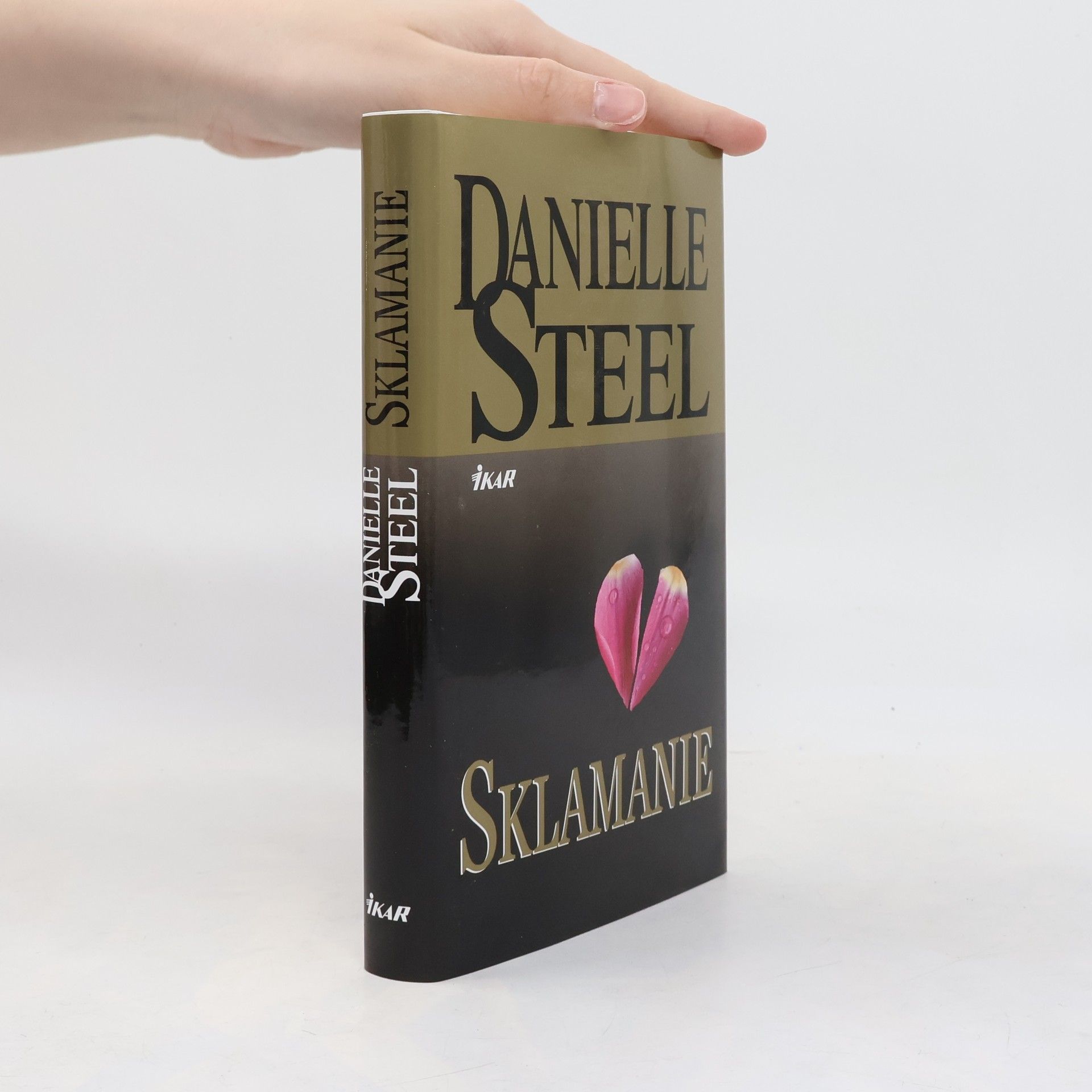 Danielle Steel Sklamanie