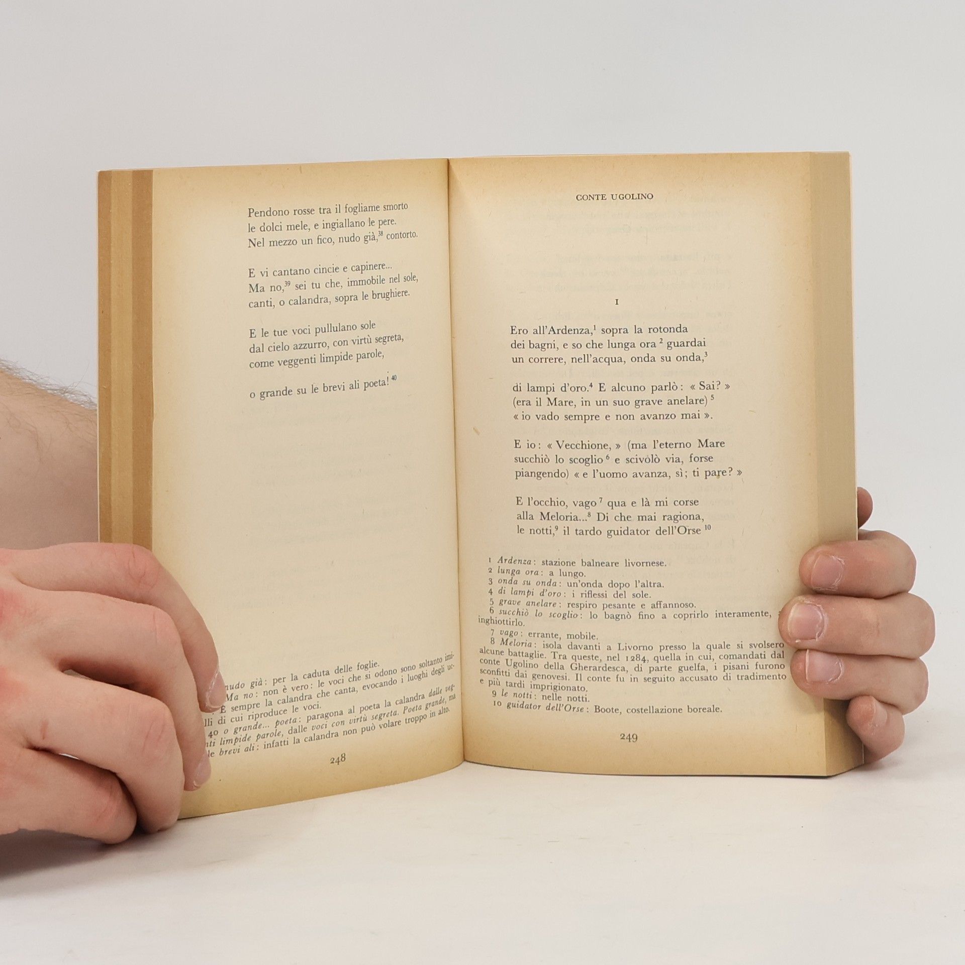 Pascoli Poesie