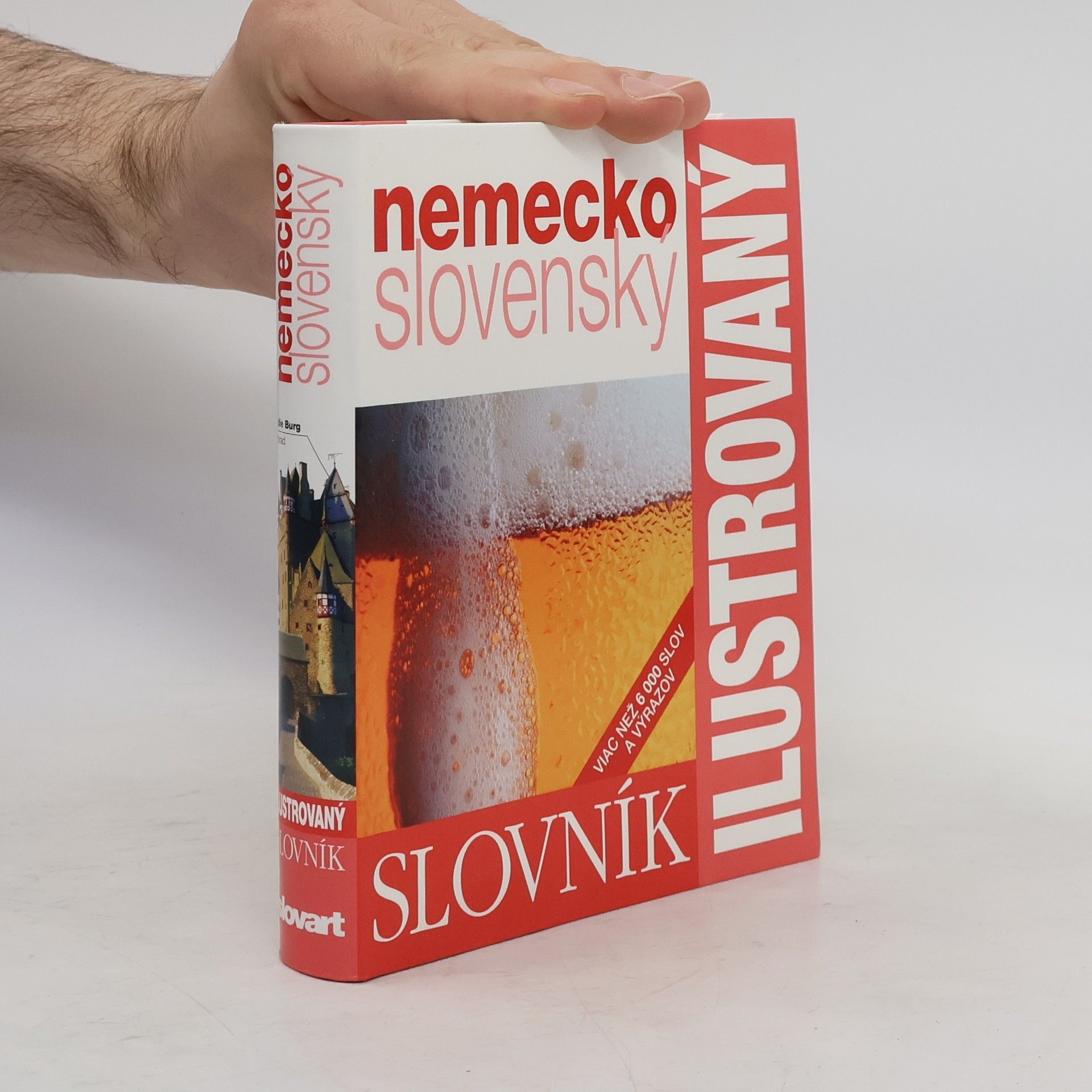 Kristina Szilvásyová Nemecko slovenský ilustrovaný slovník