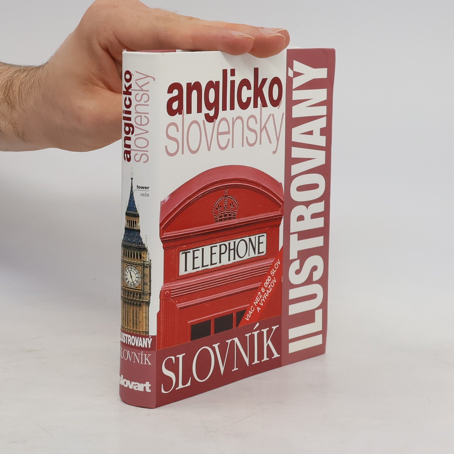 Collectif d'auteurs Anglicko-slovenský ilustrovaný slovník