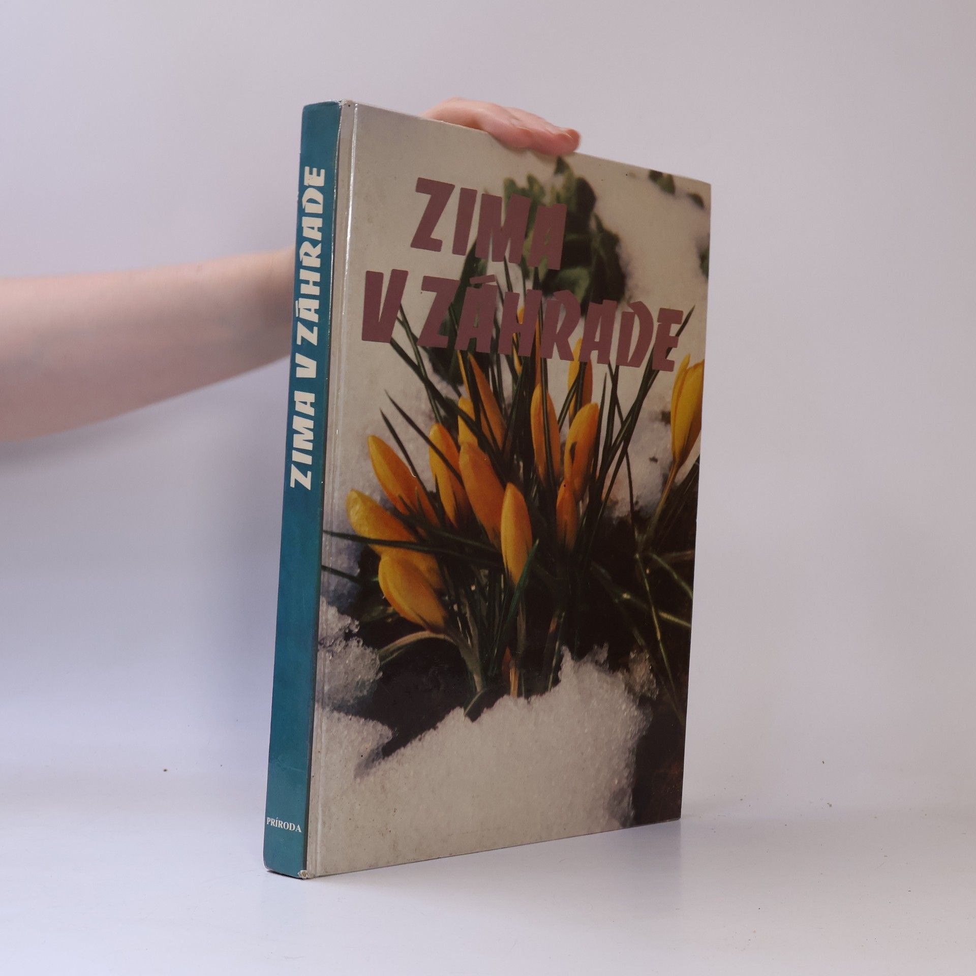 Katarína Šafáriková Zima v záhrade