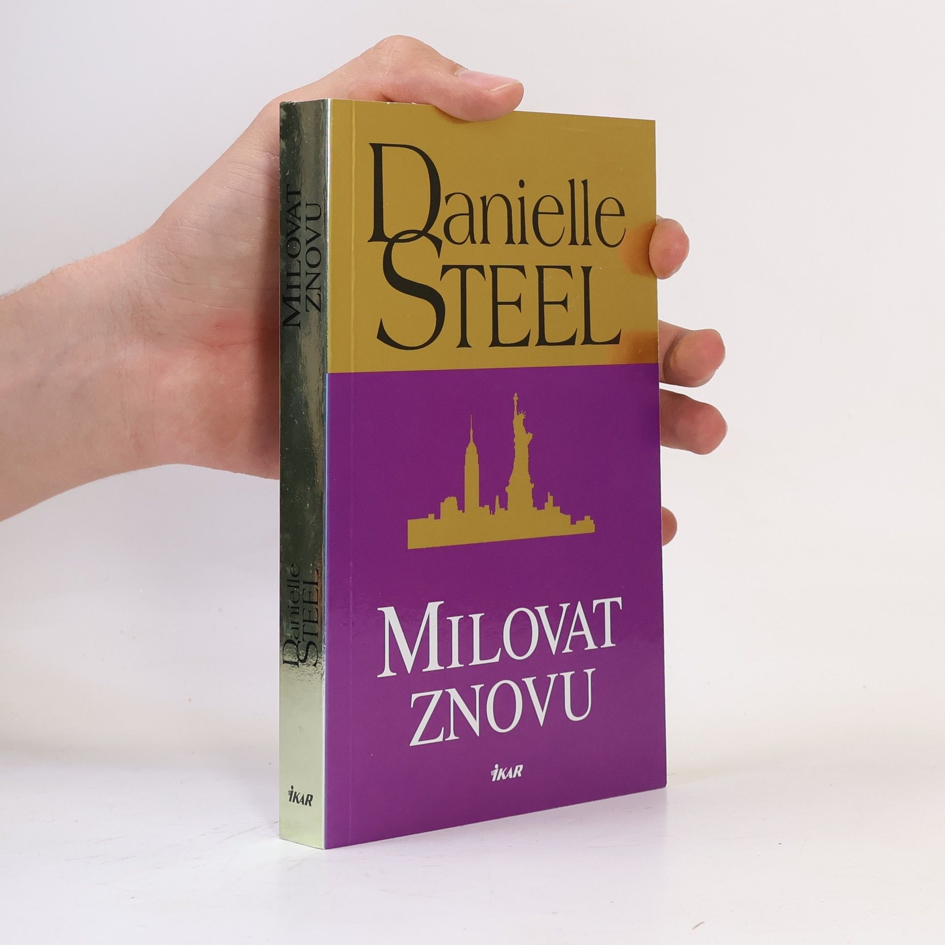 Danielle Steel Milovat znovu