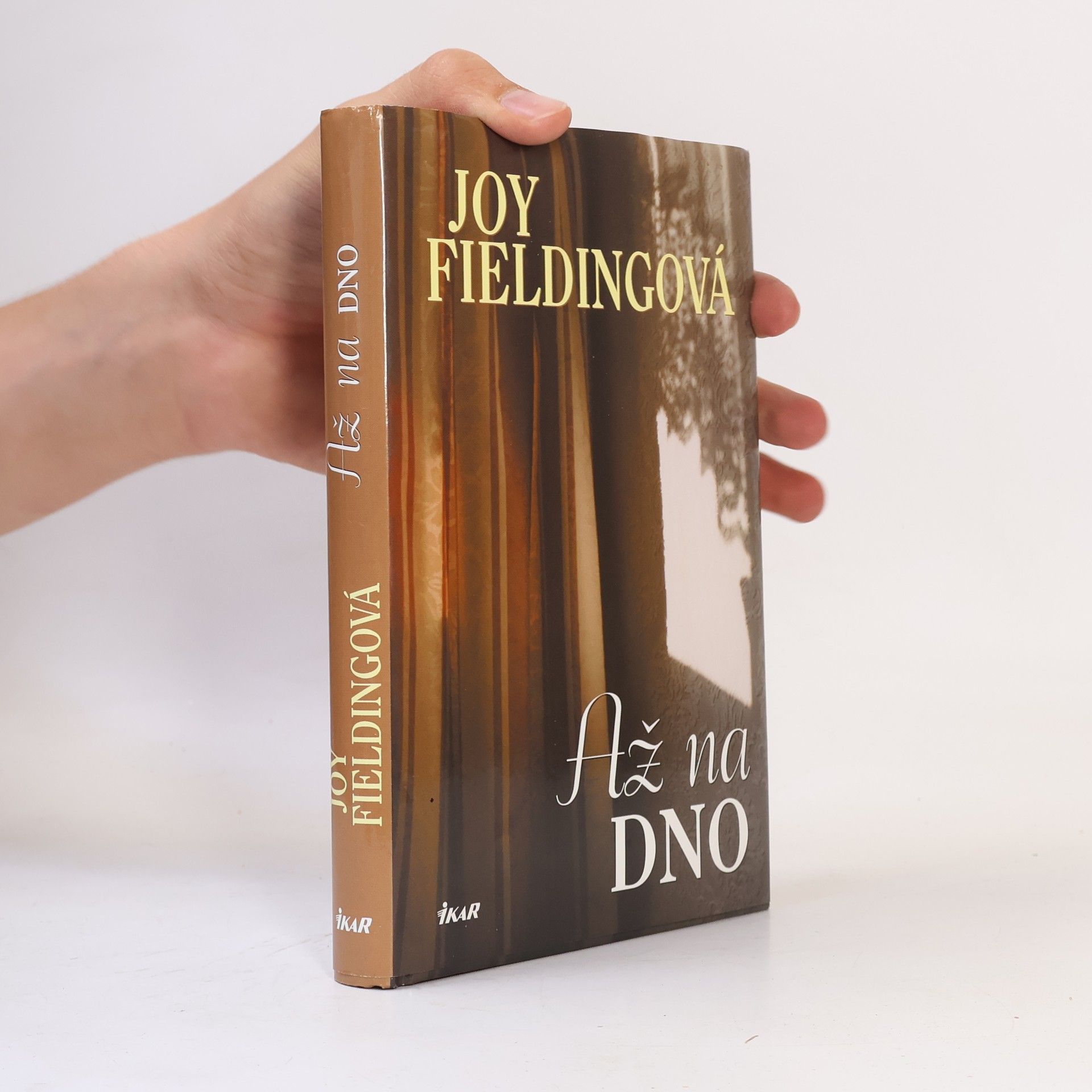 Joy Fielding Až na dno