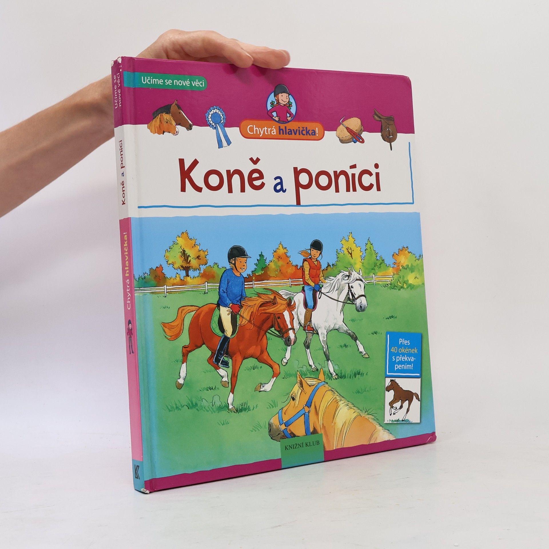 Koně a poníci