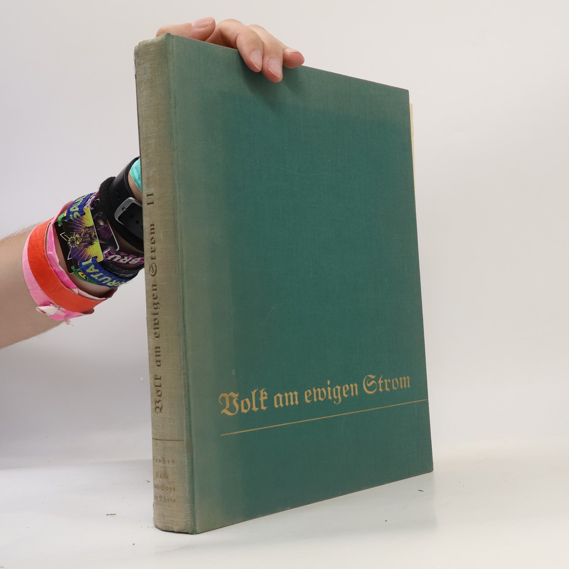 Various authors Volk am ewigen Strom II. Sang und Sage am Rhein