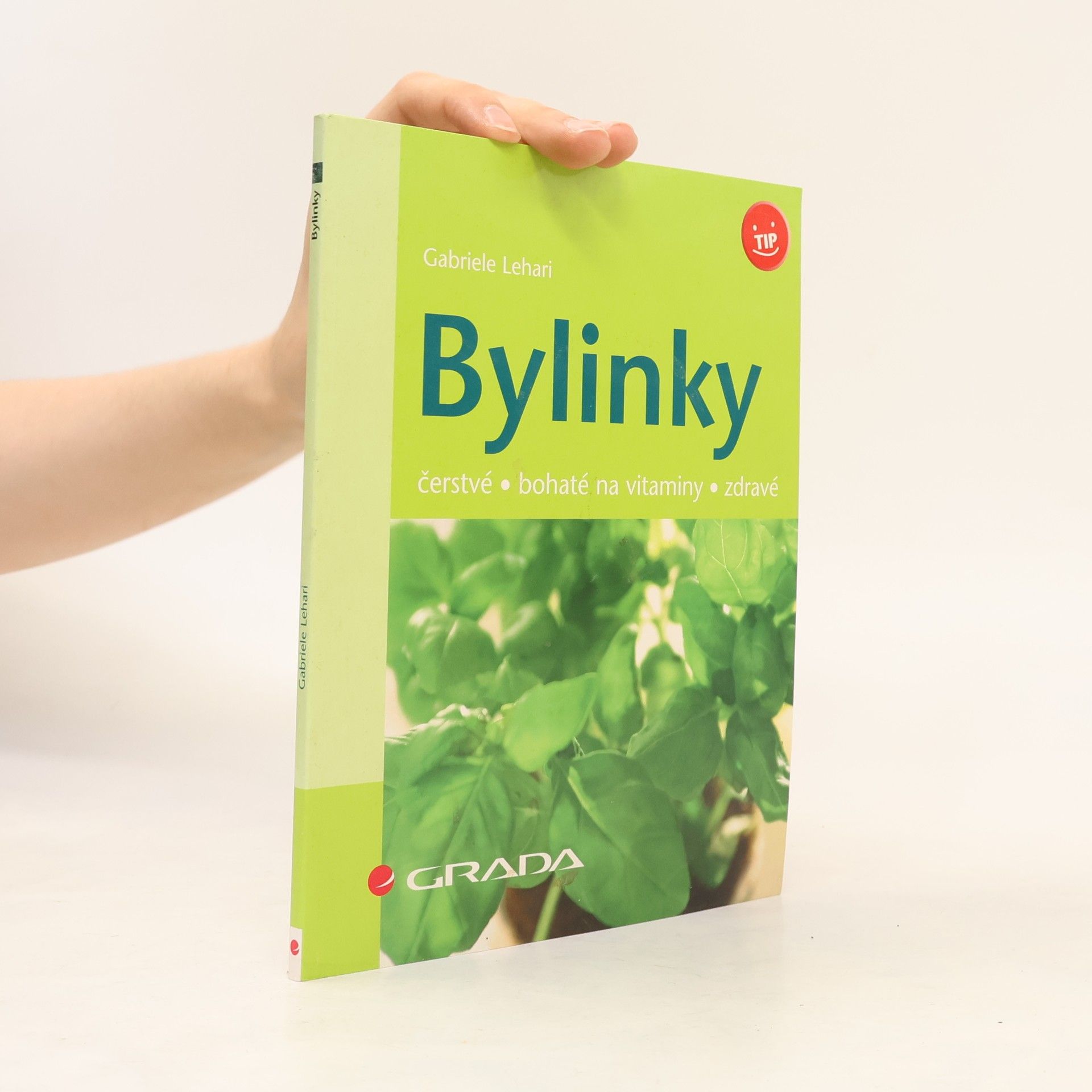 Bylinky