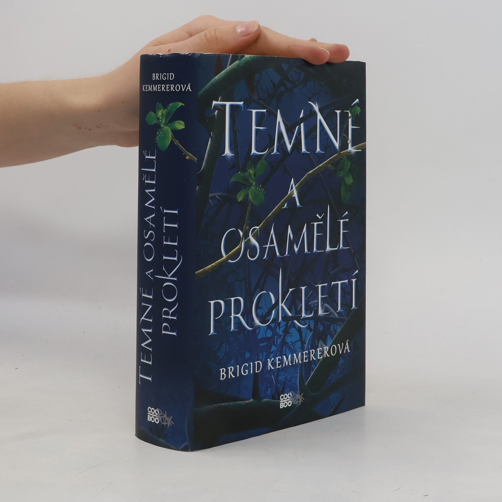 Brigid Kemmerer Temné a osamělé prokletí