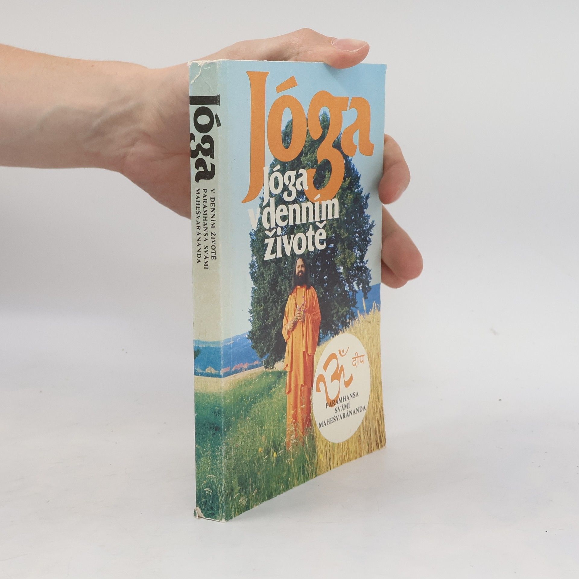 Swami Maheshwarananda Jóga v denním životě