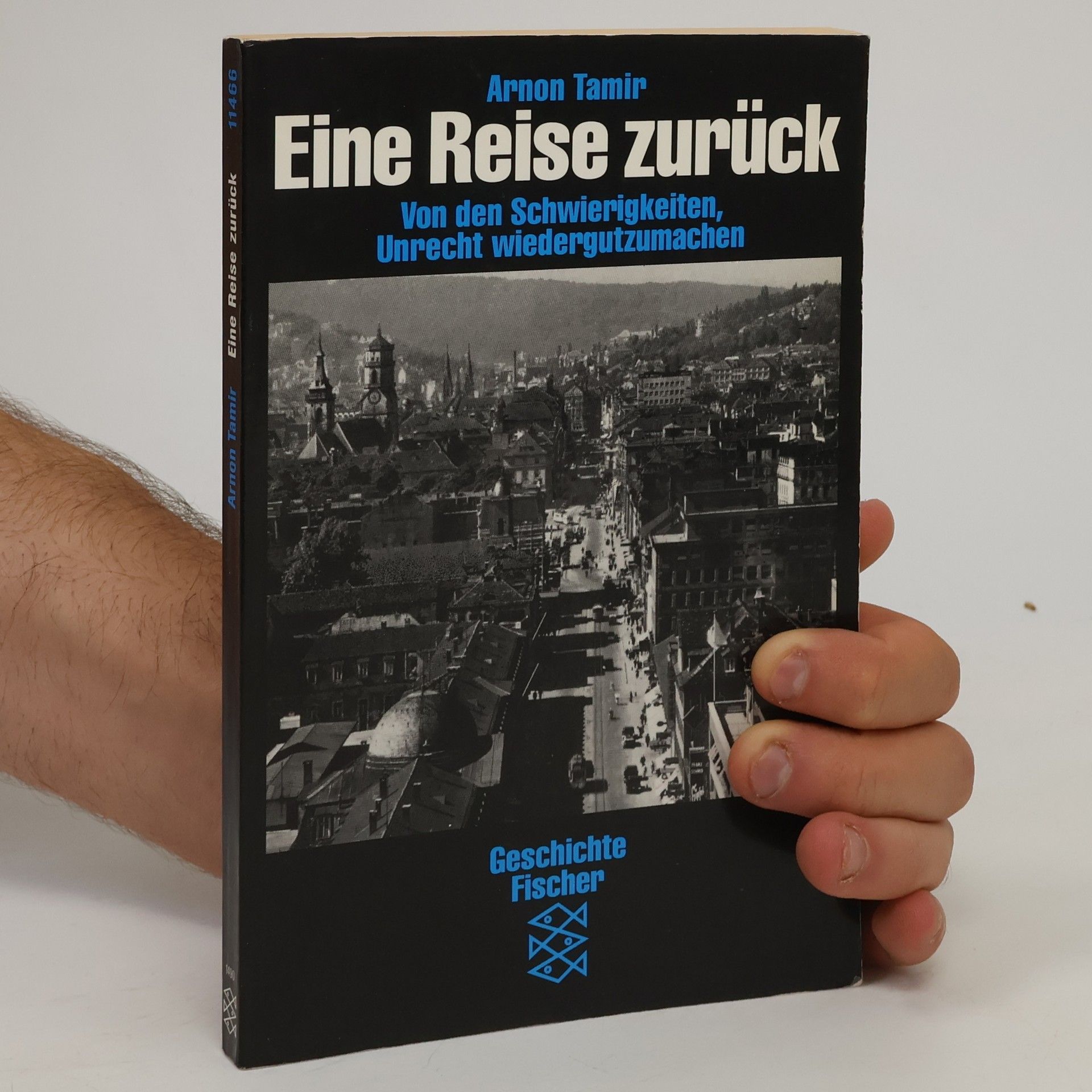 Arnôn Tāmîr Eine Reise zurück