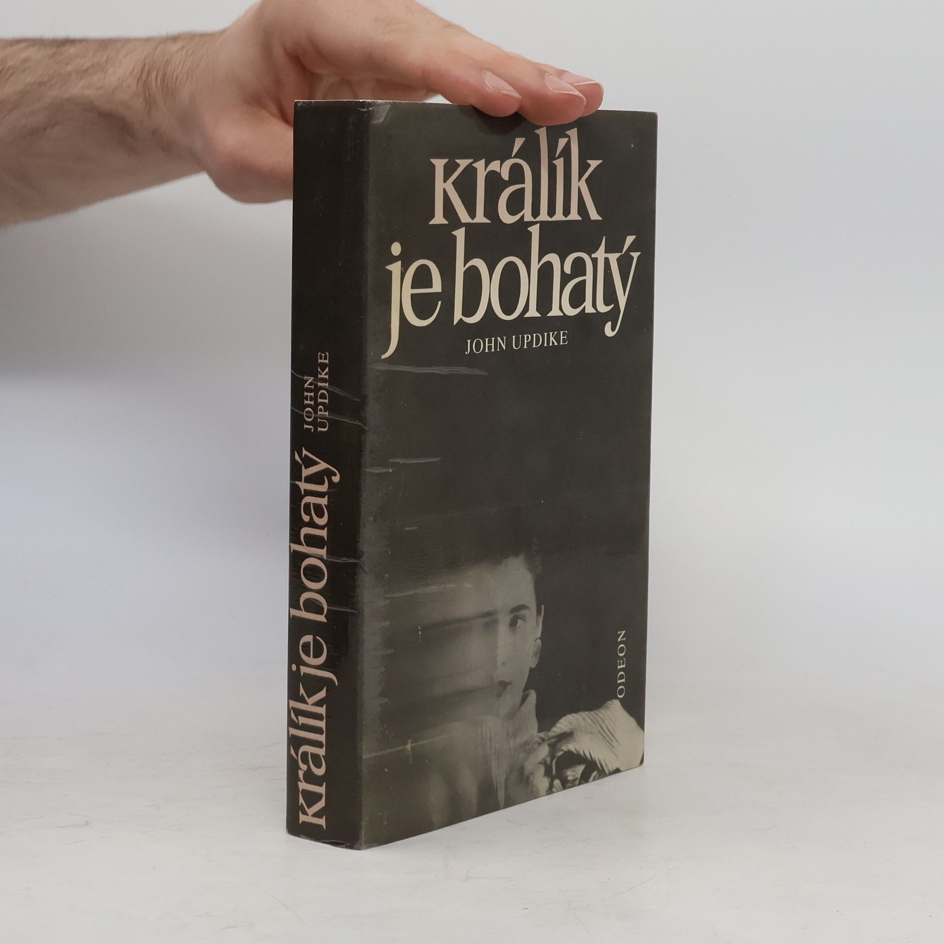 John Updike Králík je bohatý
