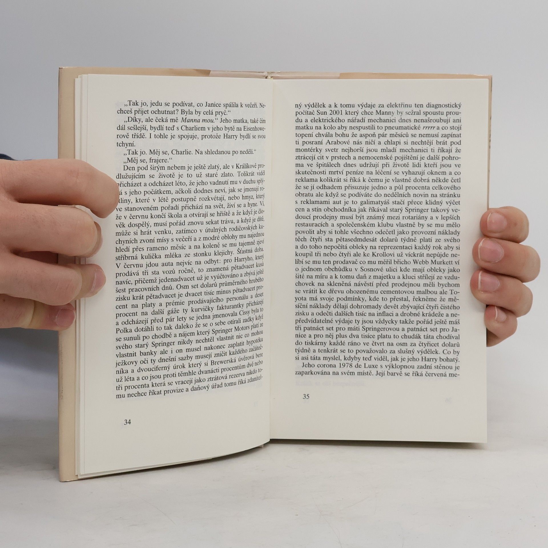 John Updike Králík je bohatý