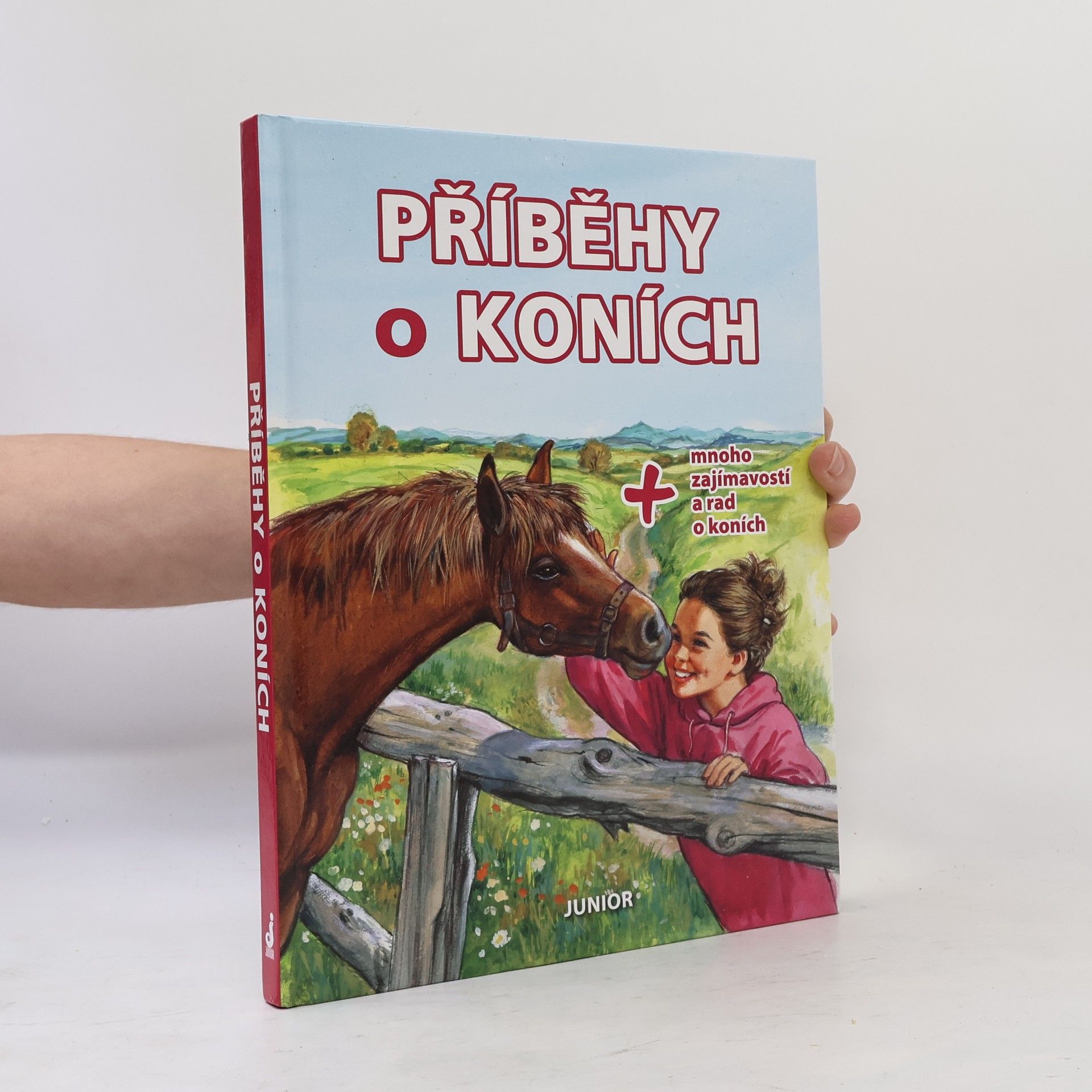 Kolektív autorov Příběhy o koních