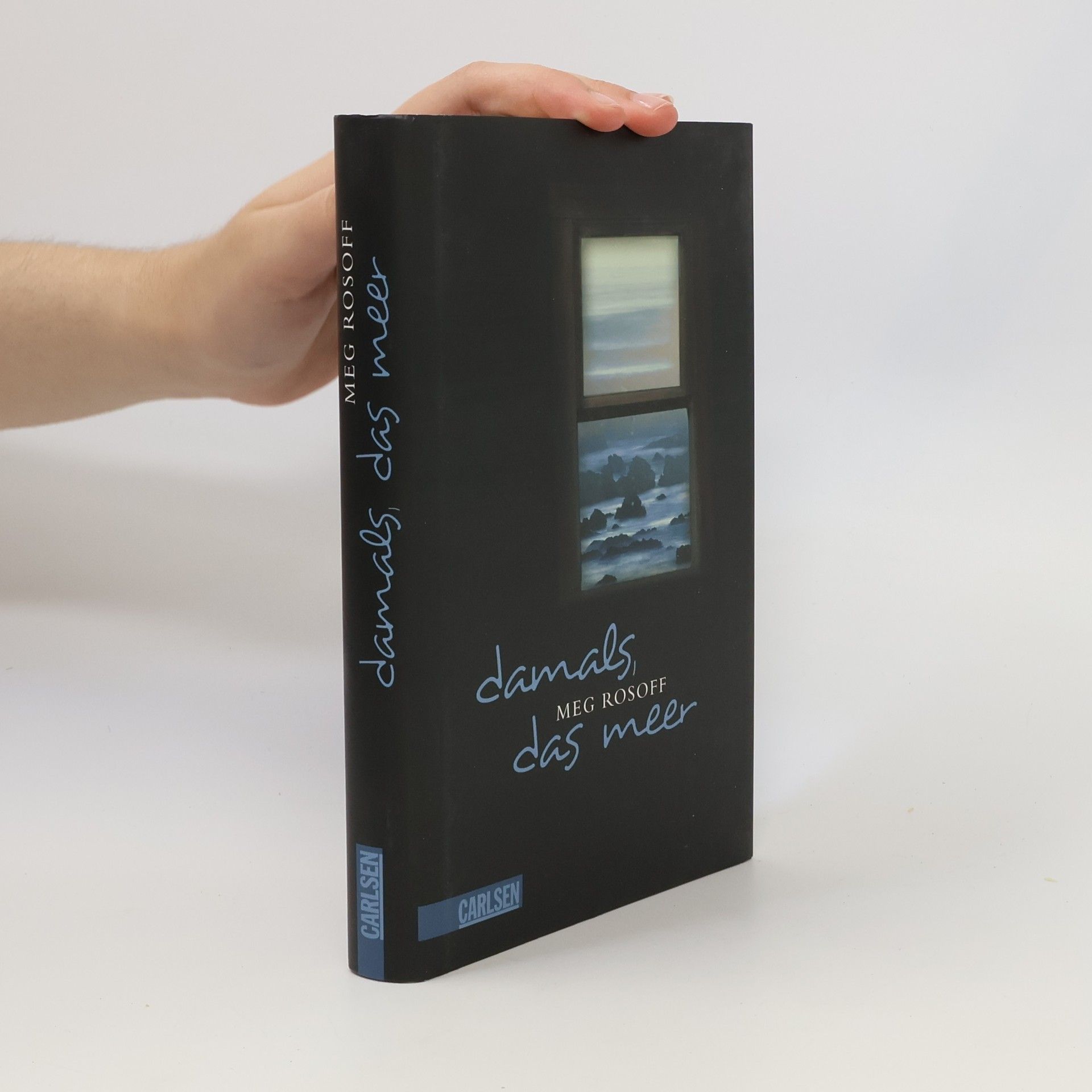 Meg Rosoff Damals, das Meer