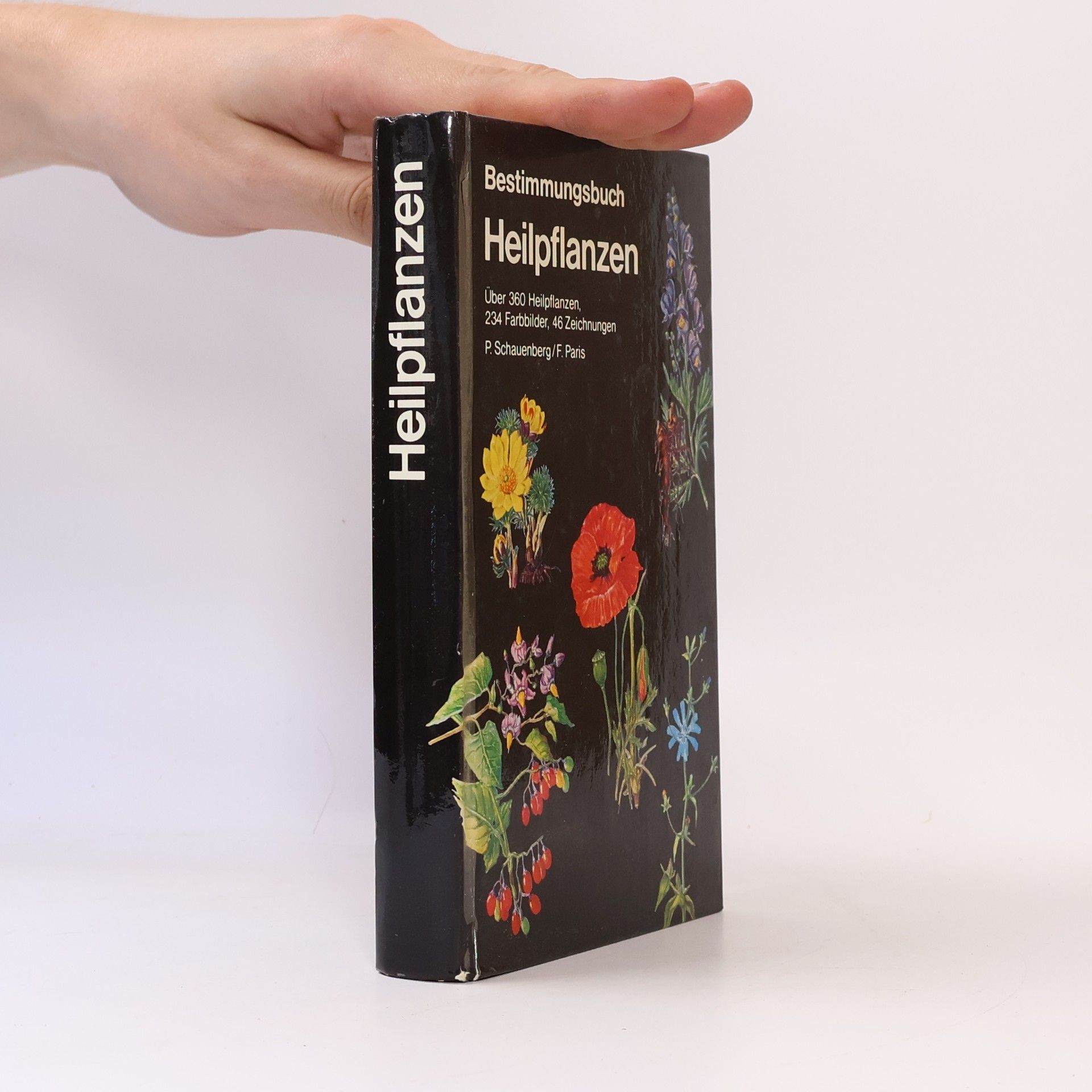 Autorenkollektiv Bestrimmungsbuch. Heilpflanzen