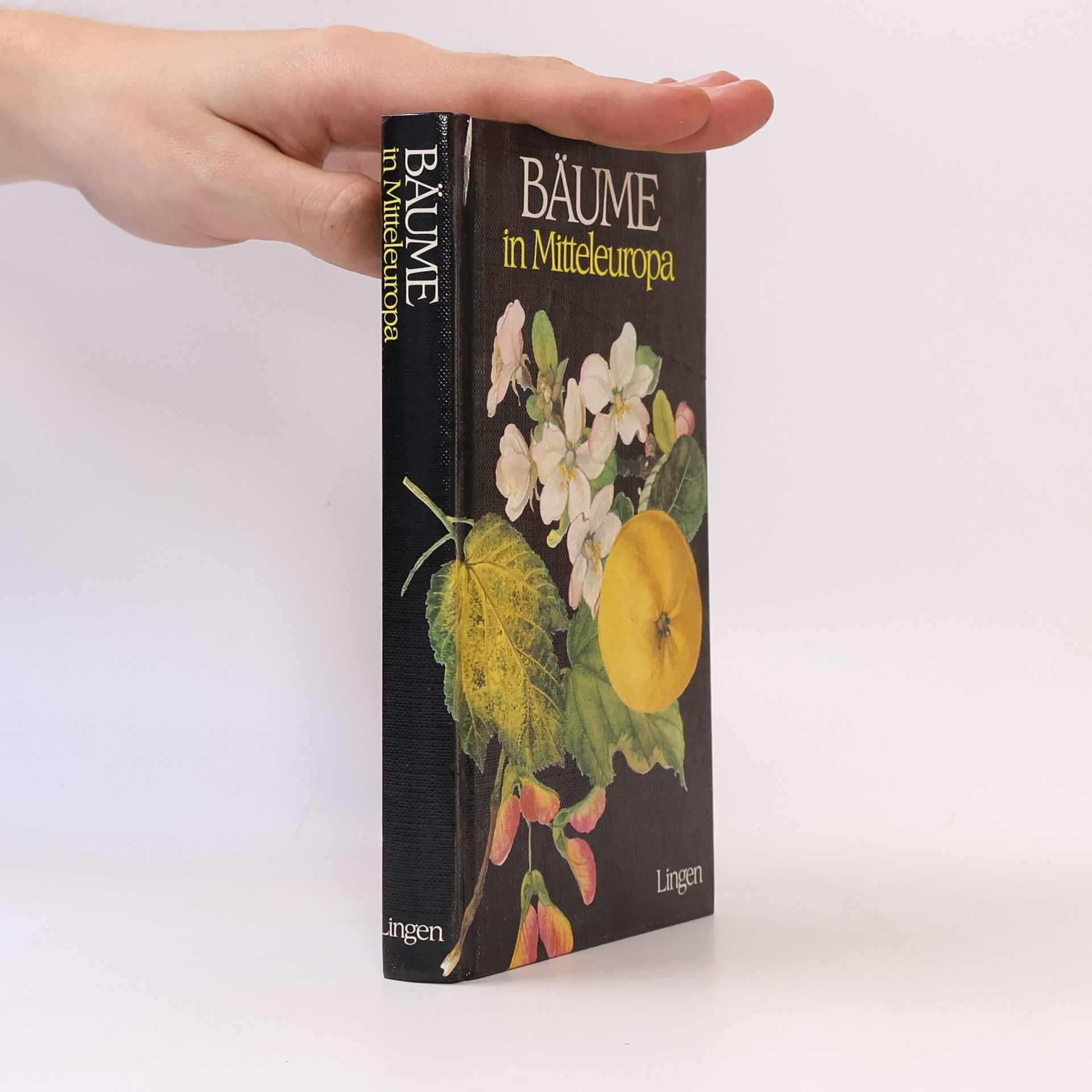 Bäume in Mitteleuropa